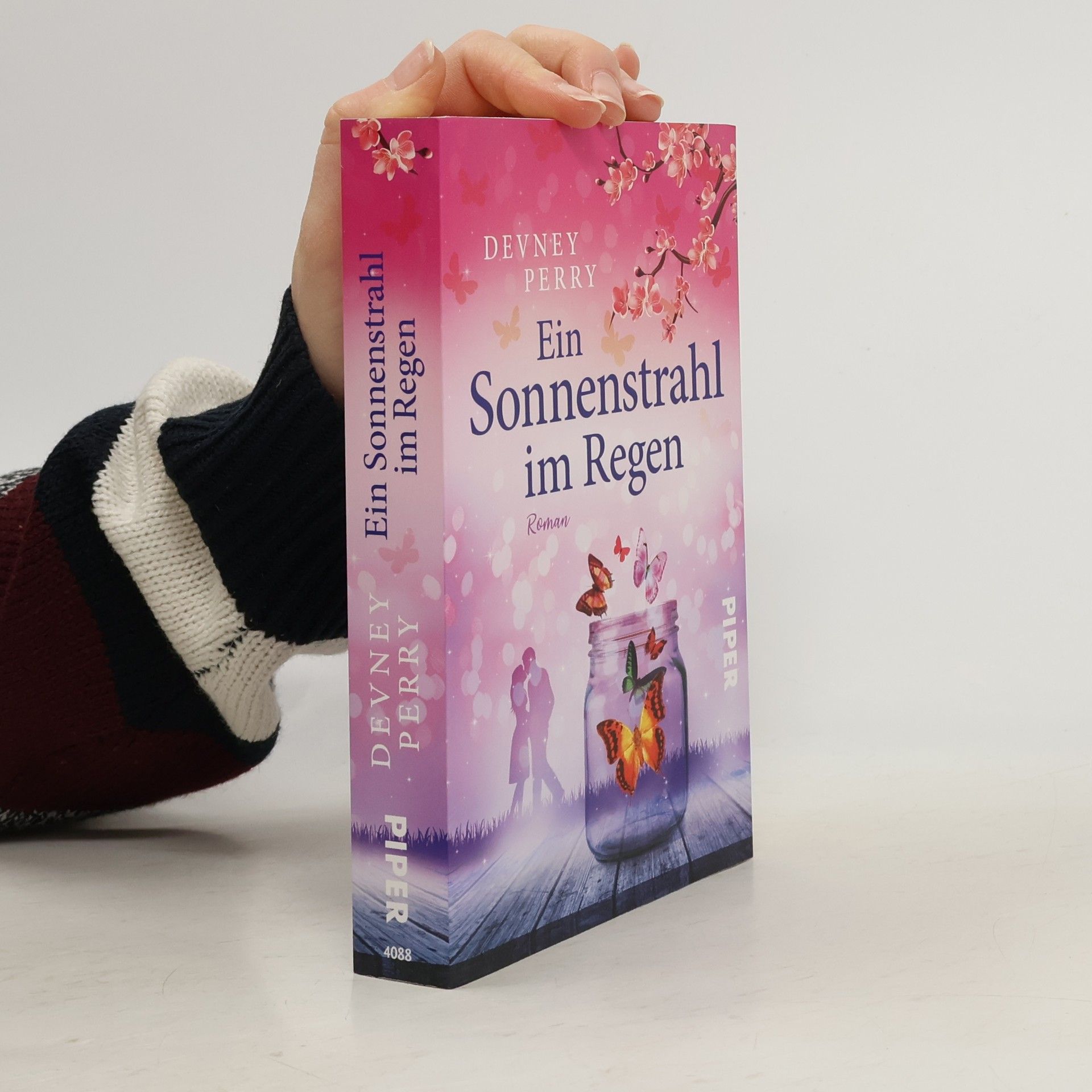 Devney Perry Ein Sonnenstrahl im Regen