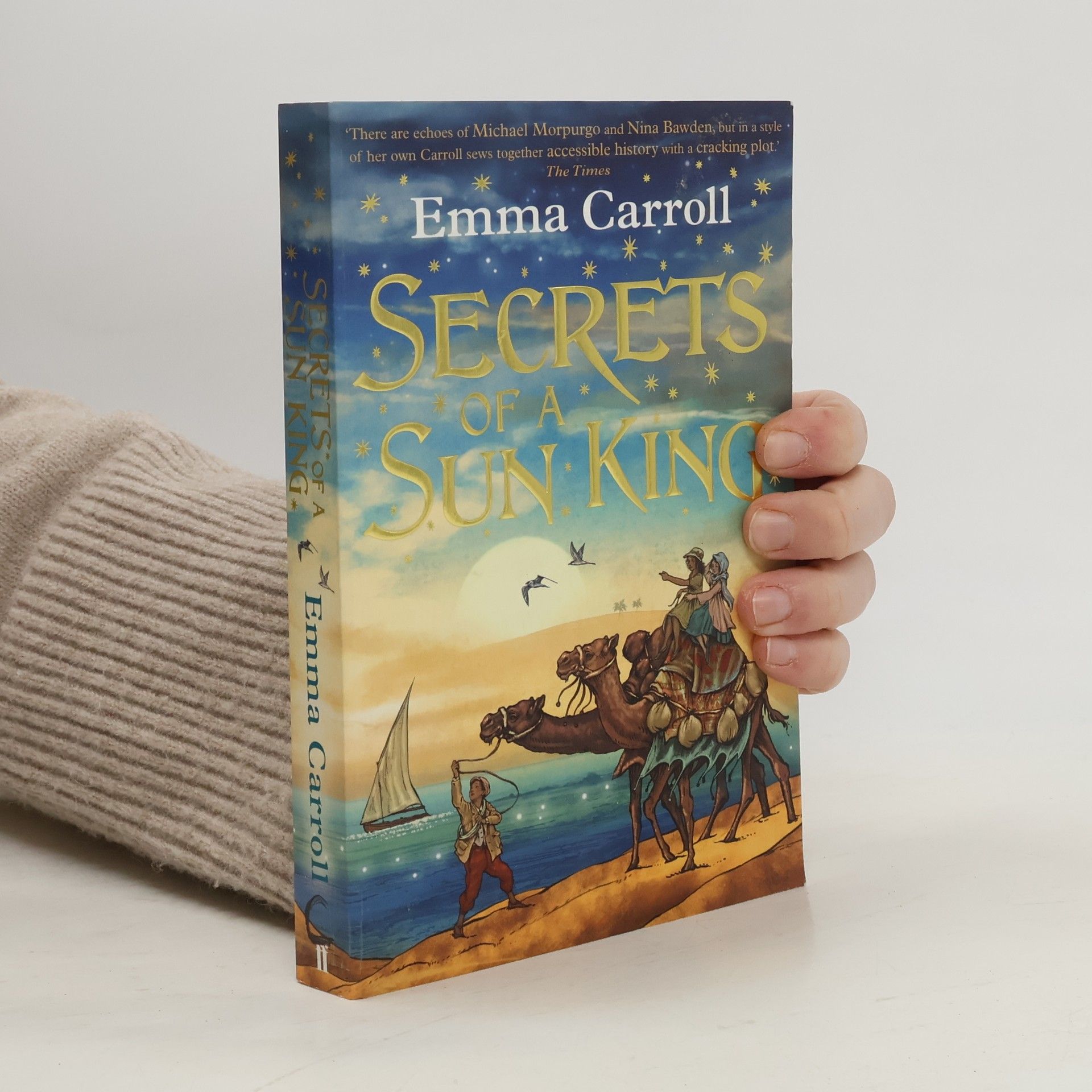 Emma Carroll Secrets of a sun king