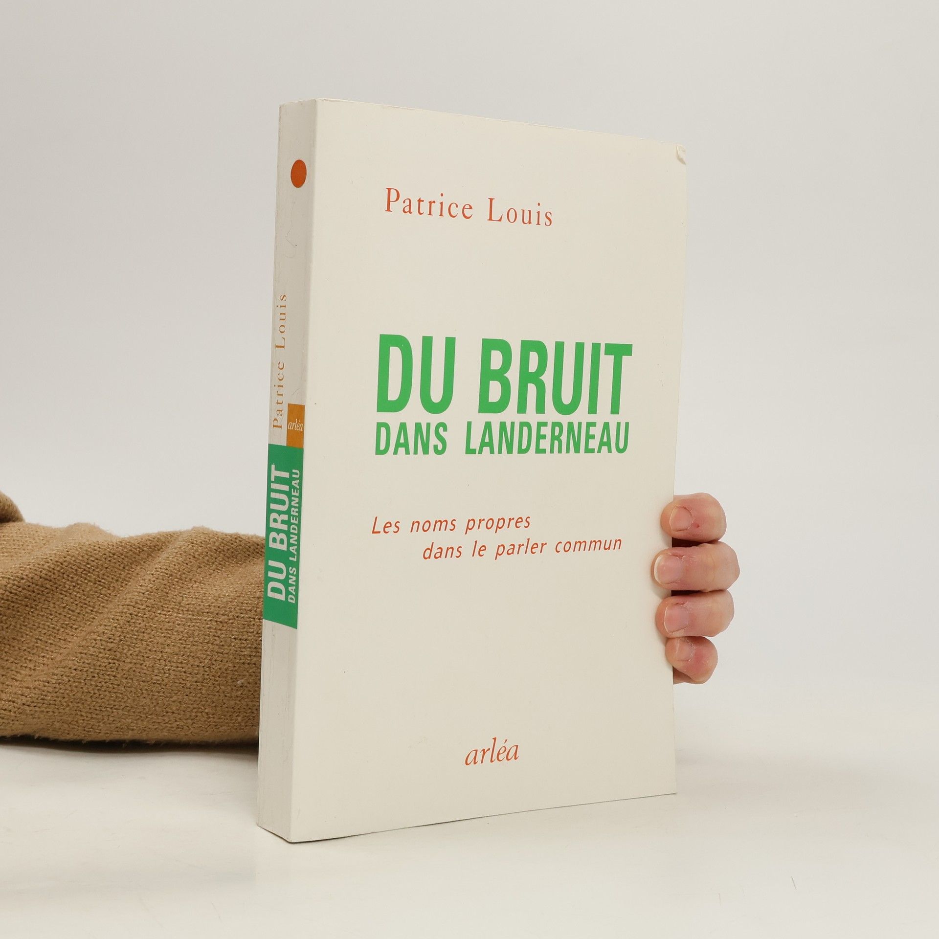Patrice Louis Du bruit dans Landerneau