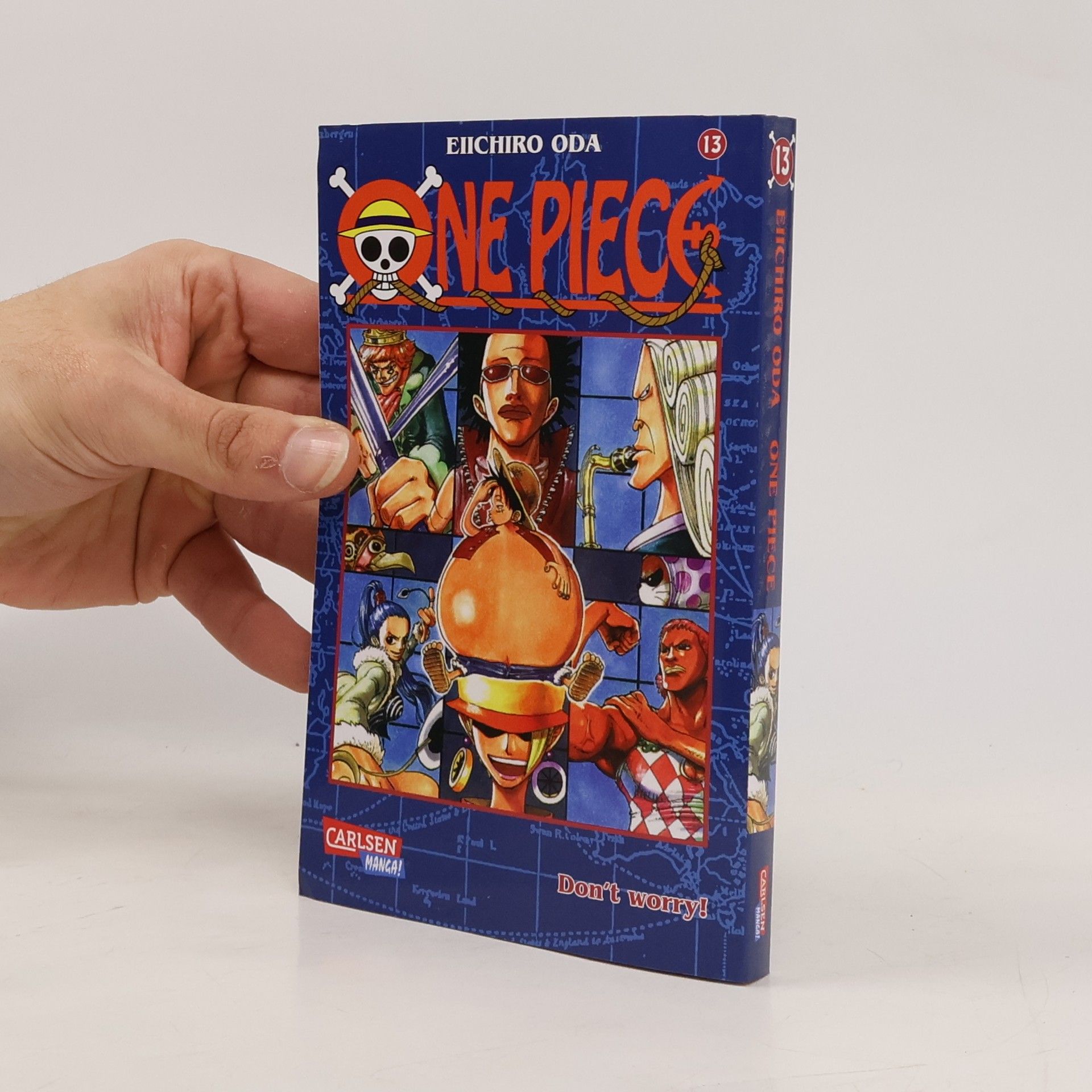 One piece 13