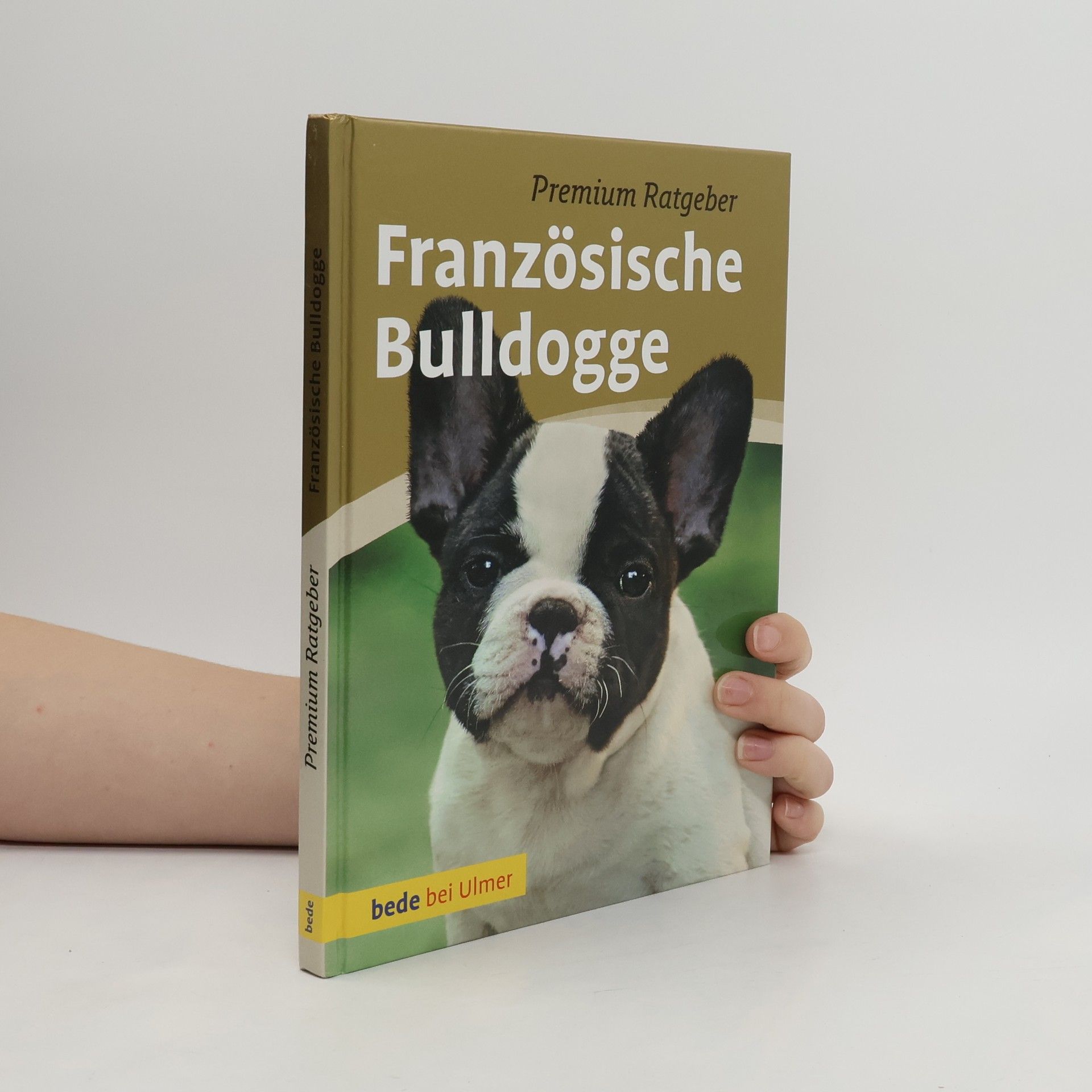 Französische Bulldogge