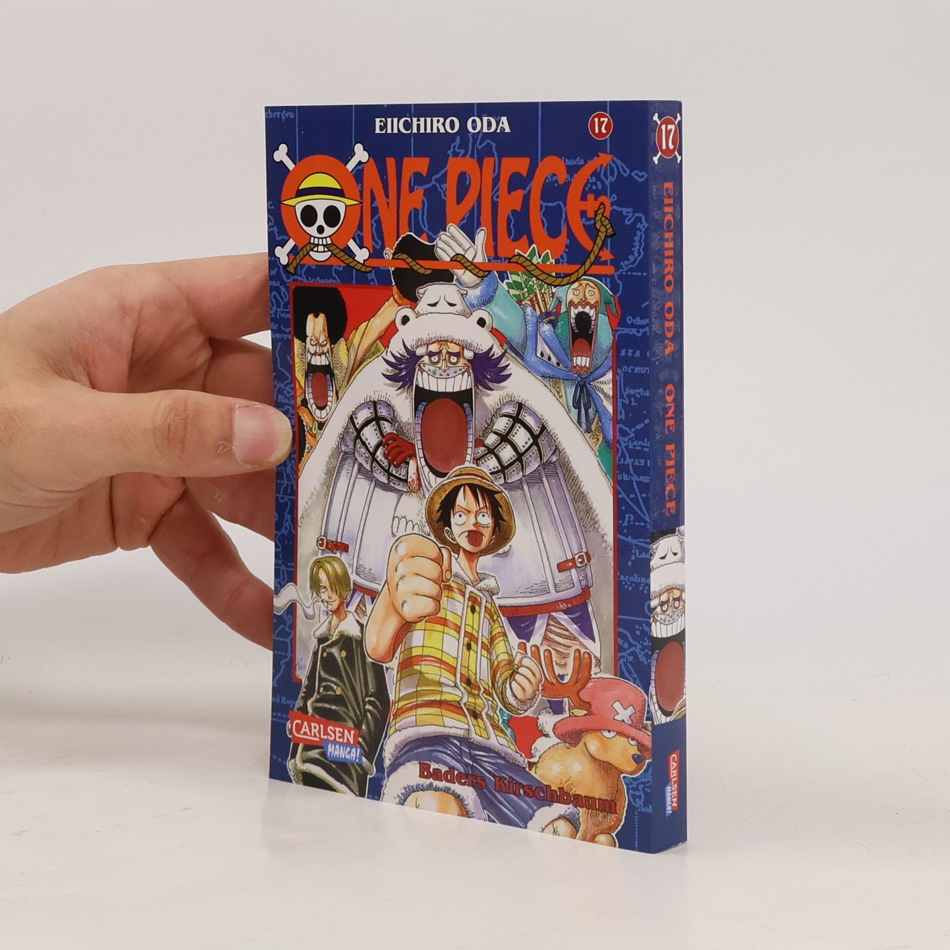 One Piece 17