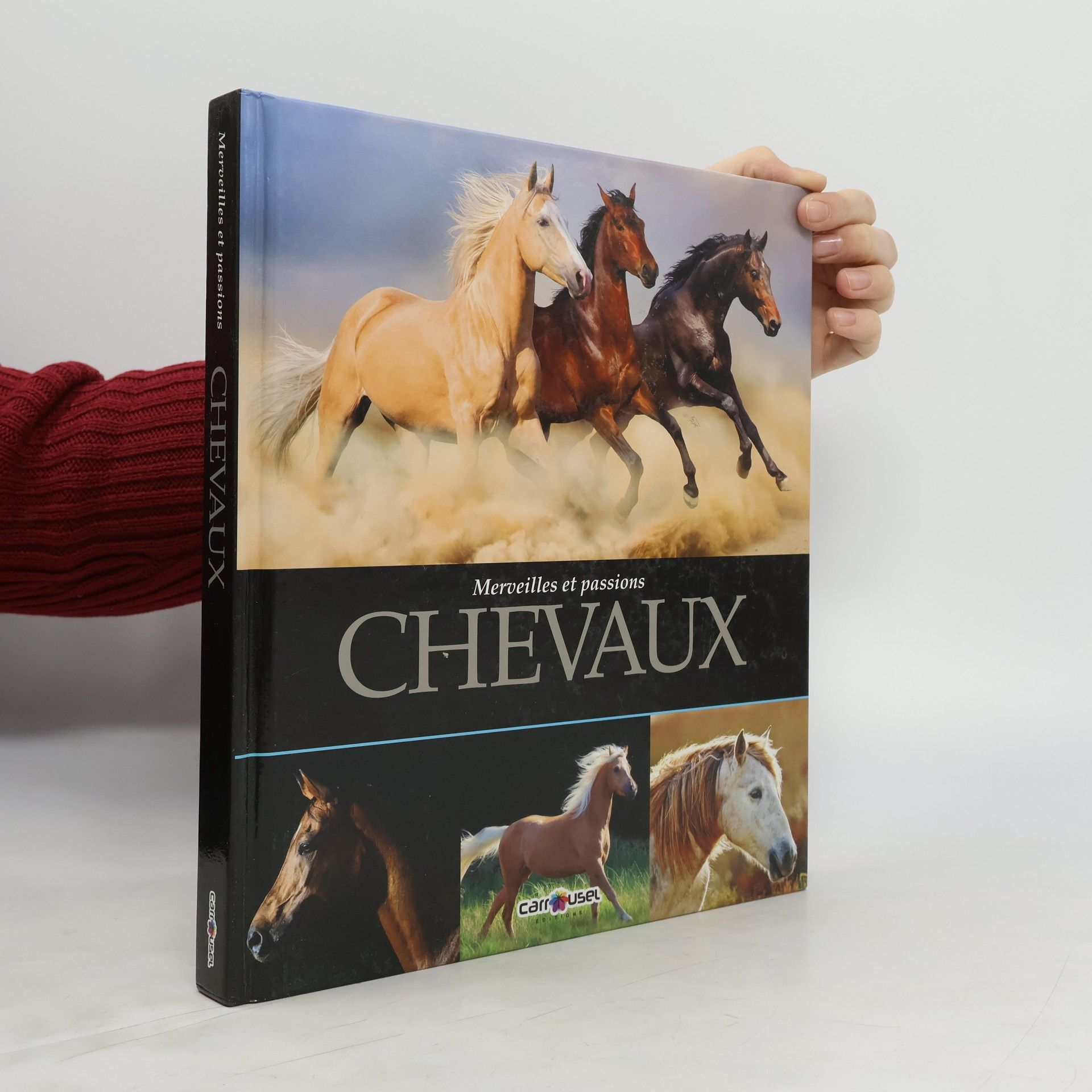 Collectif d'auteurs Merveilles et passions. Chevaux