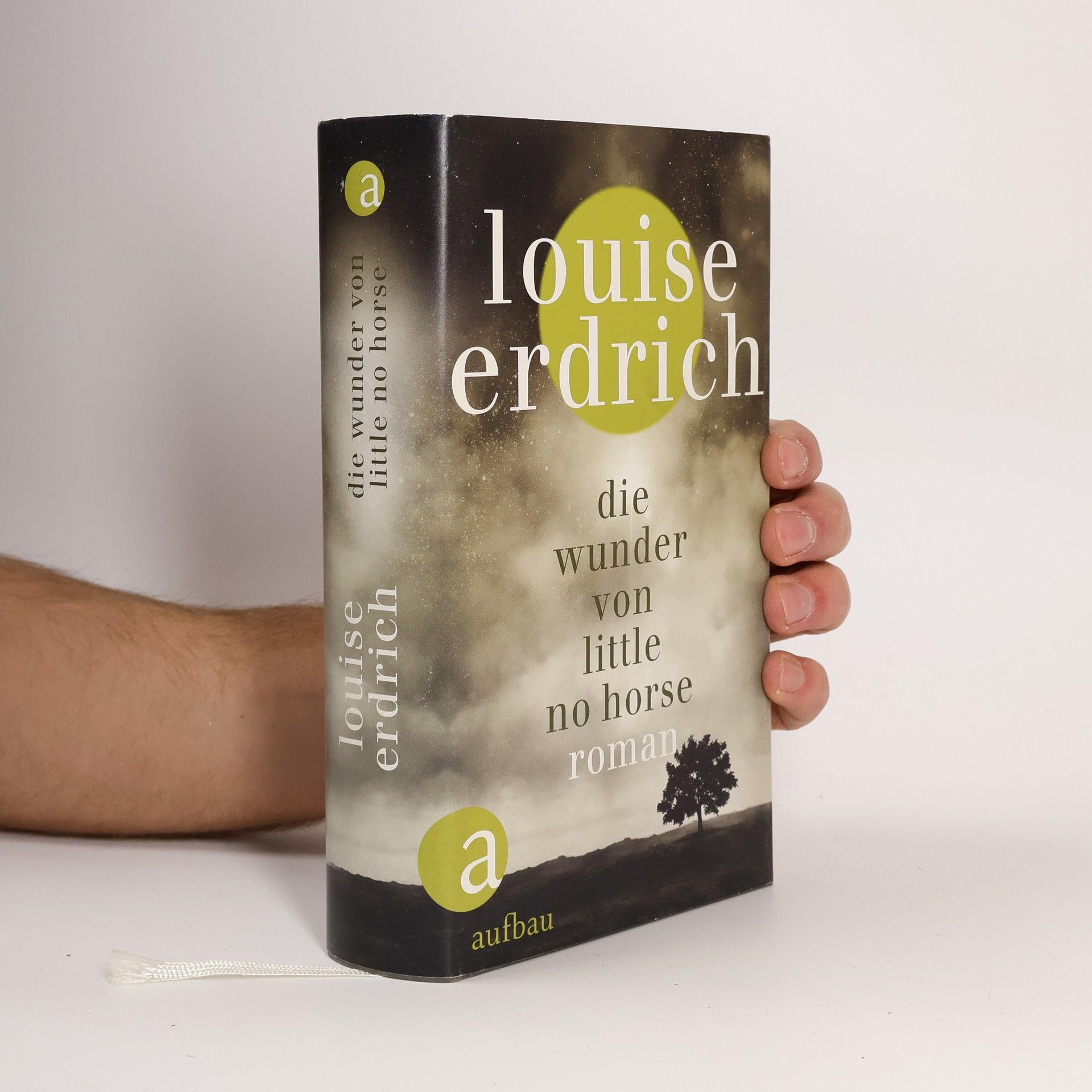 Louise Erdrich Die Wunder von Little No Horse