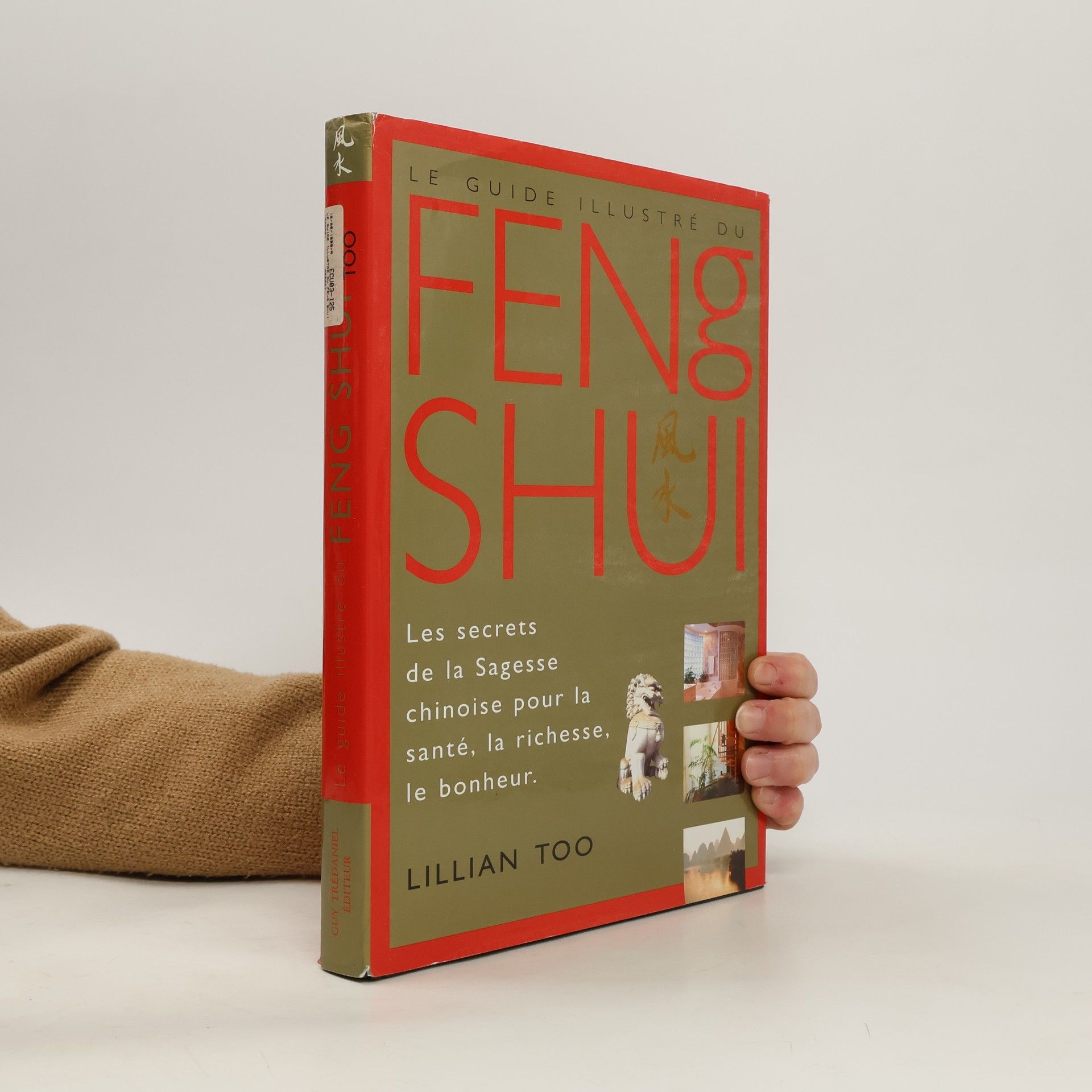 Bernard Dubant Le guide illustre du feng shui
