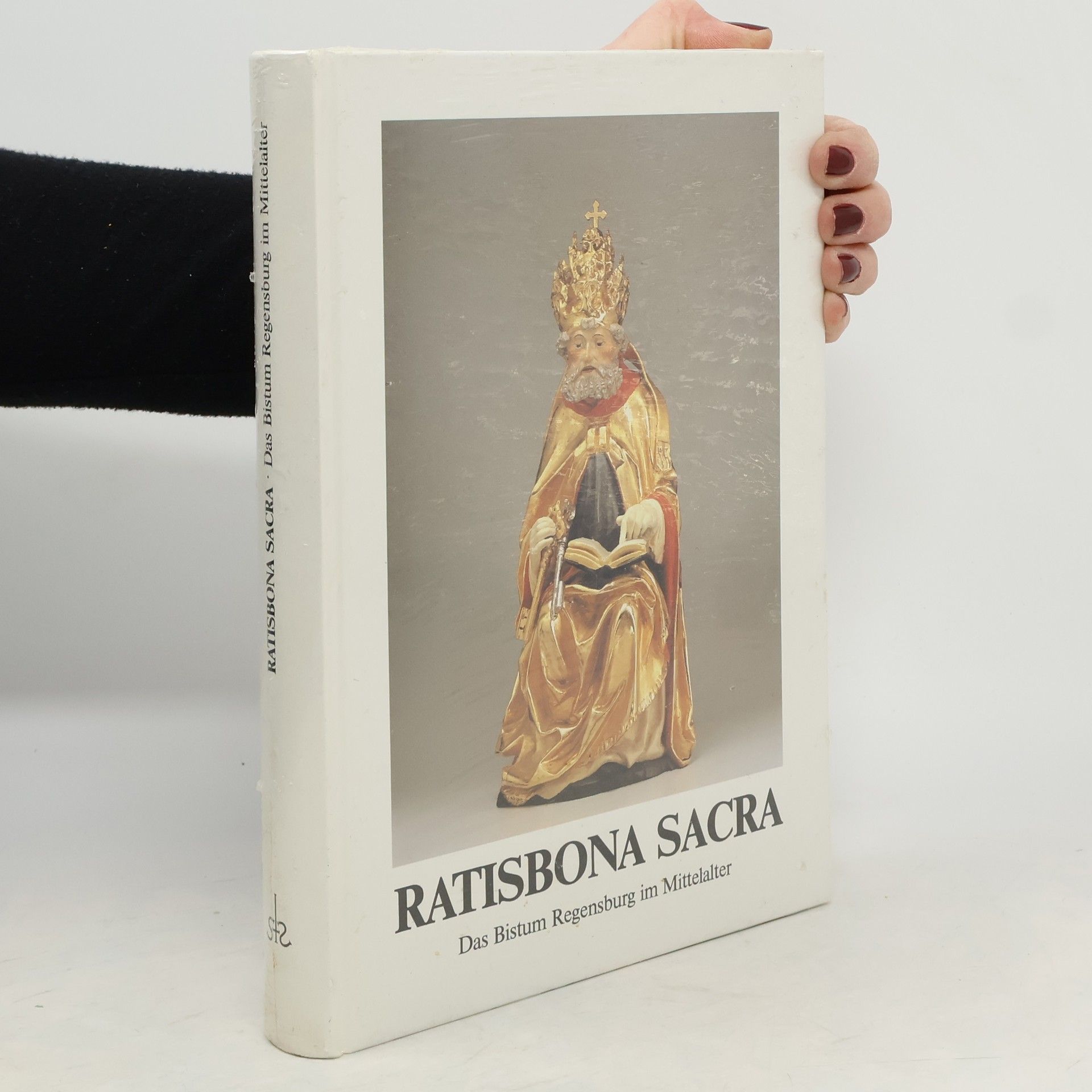 Peter Morsbach Ratisbona sacra