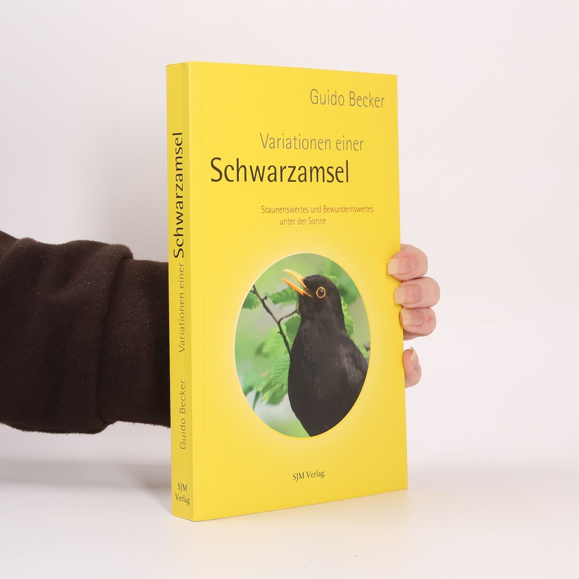 Variationen einer Schwarzamsel