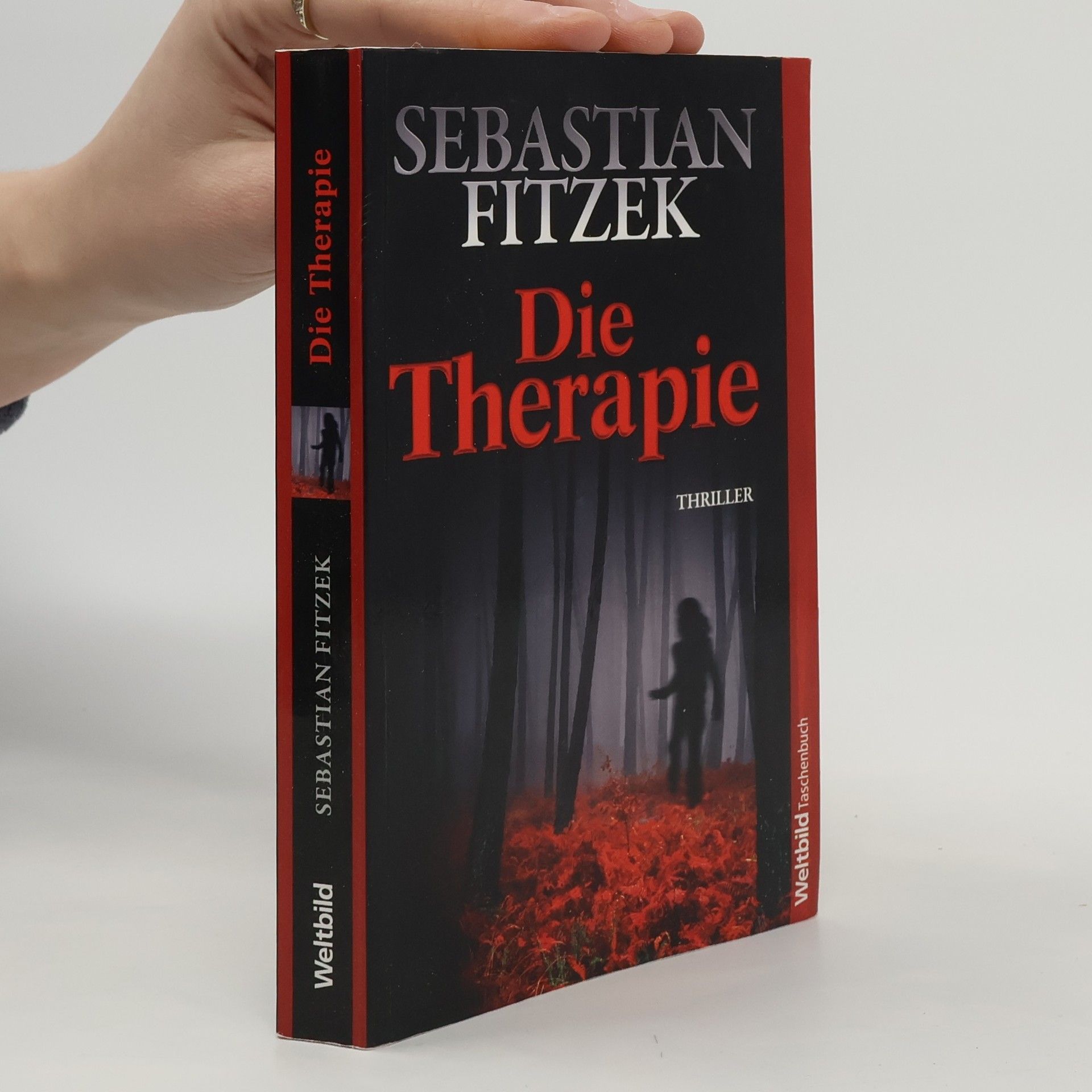 Sebastian Fitzek Die Therapie