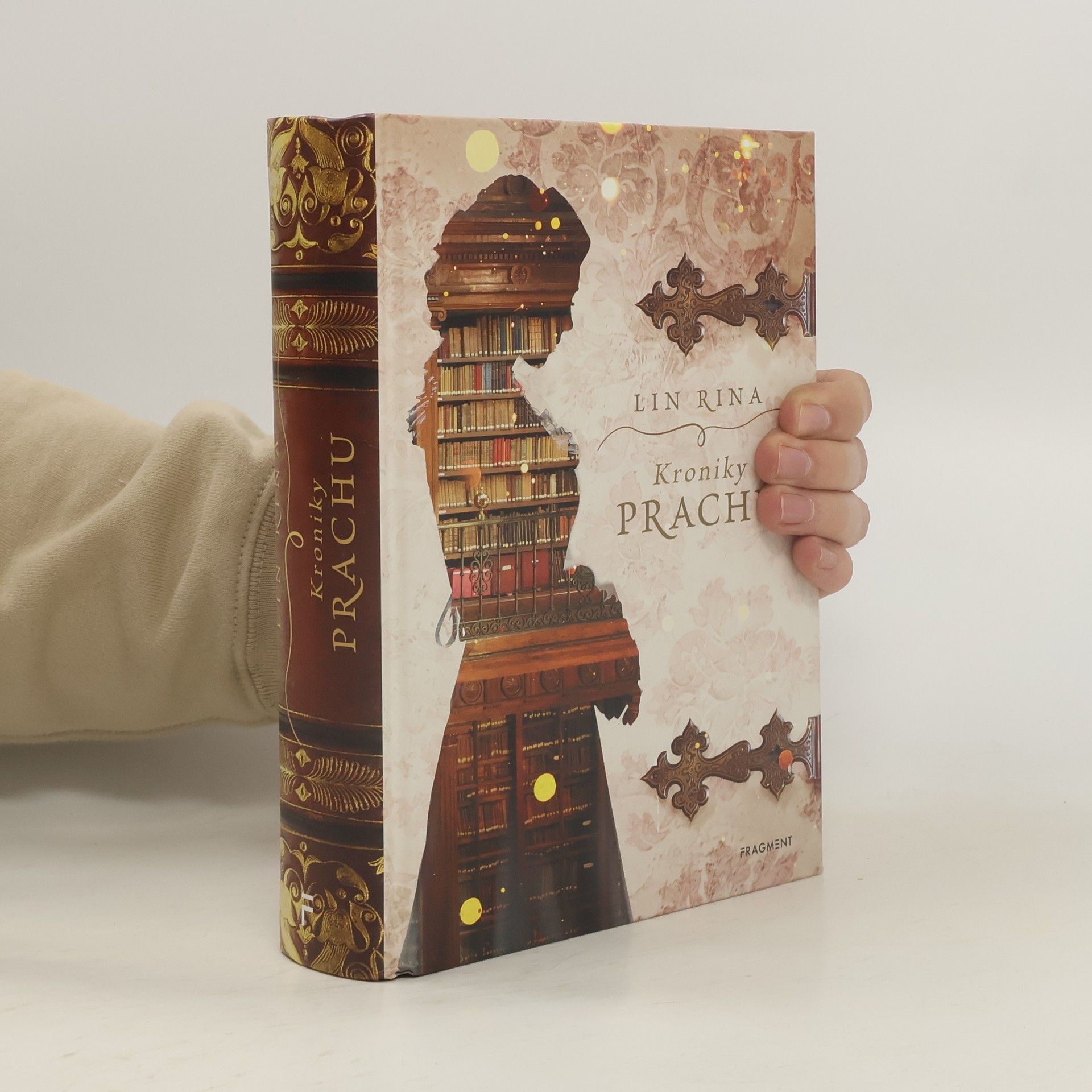 Lin Rina Kroniky prachu