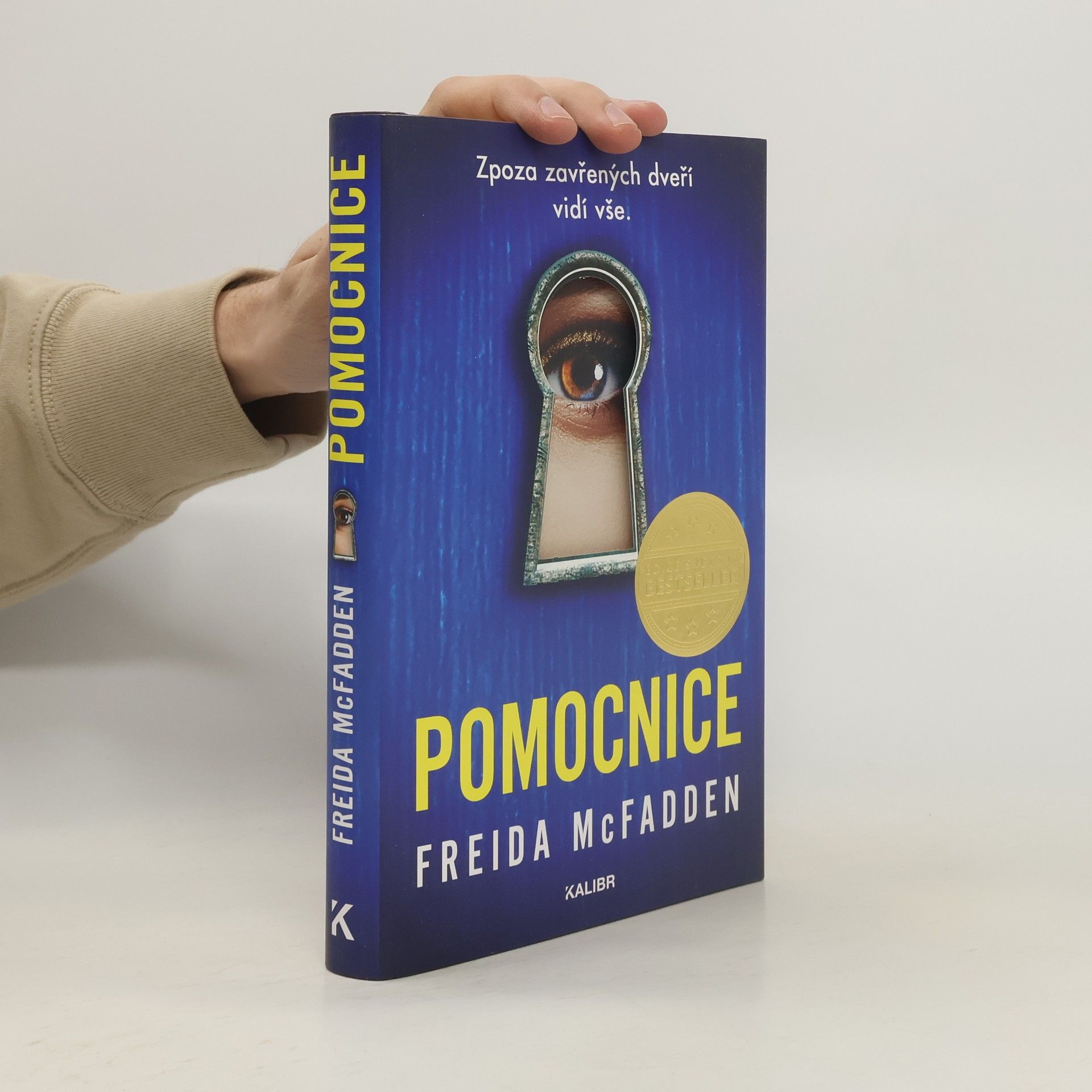 Freida McFadden Pomocnice