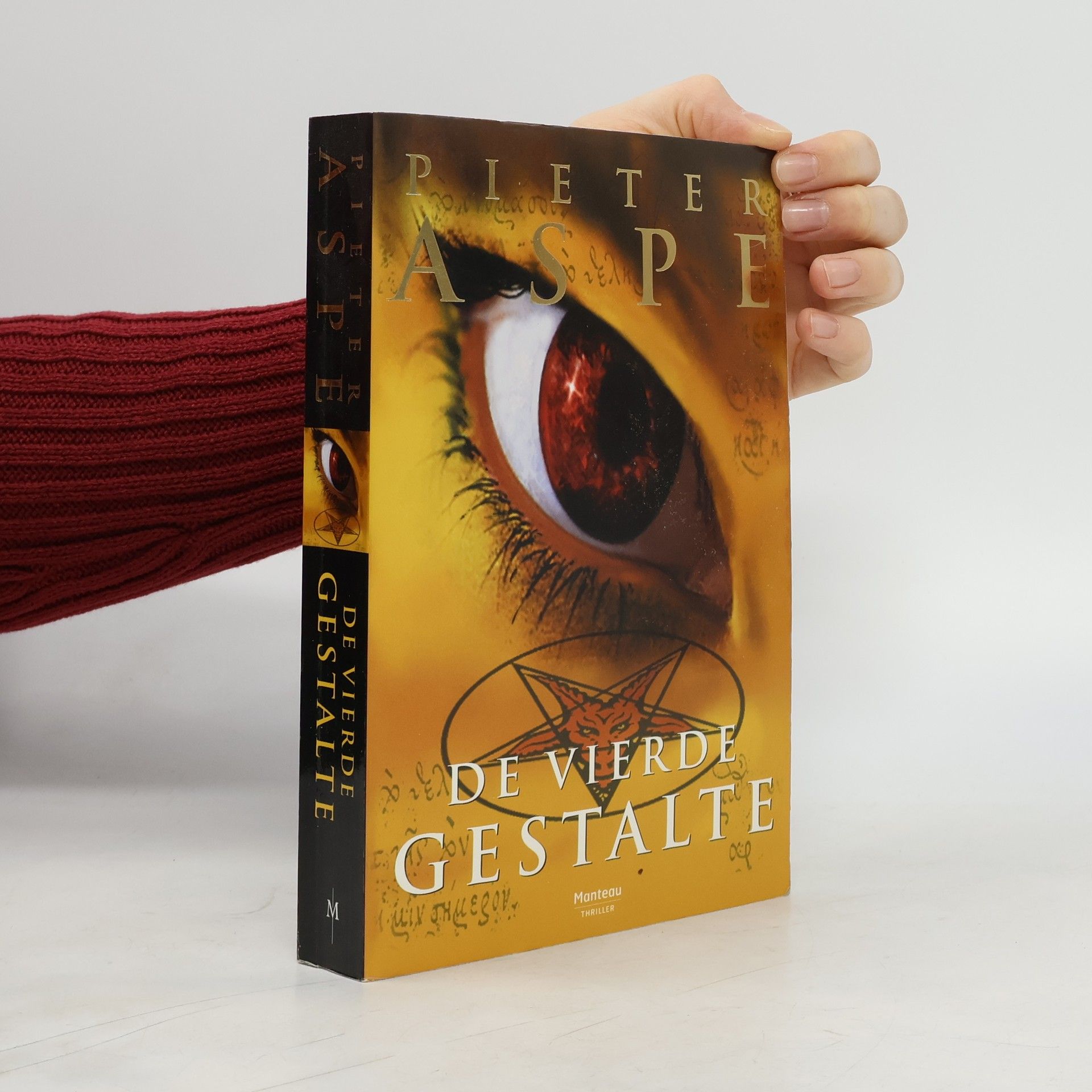 Pieter Aspe De vierde gestalte