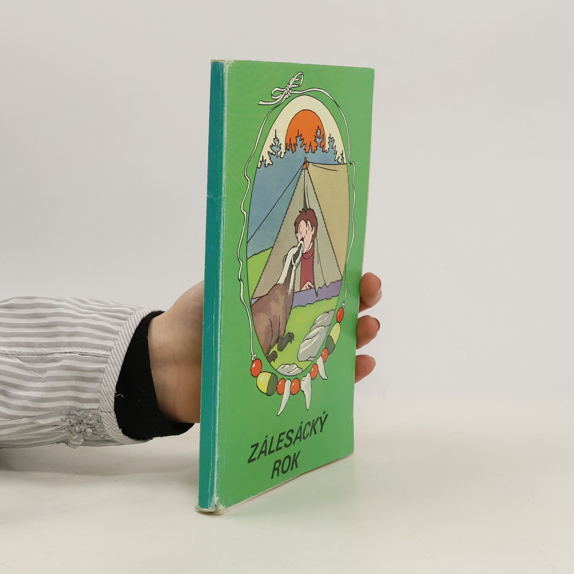 Autorenkollektiv Zálesácký rok