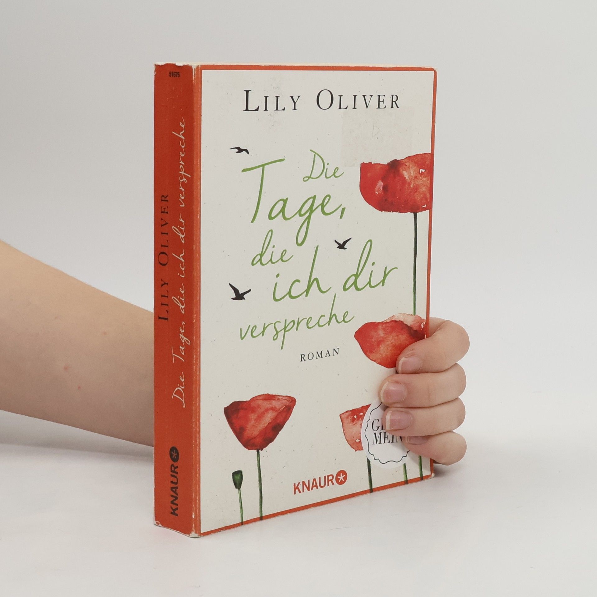 Lily Oliver Die Tage, die ich dir verspreche