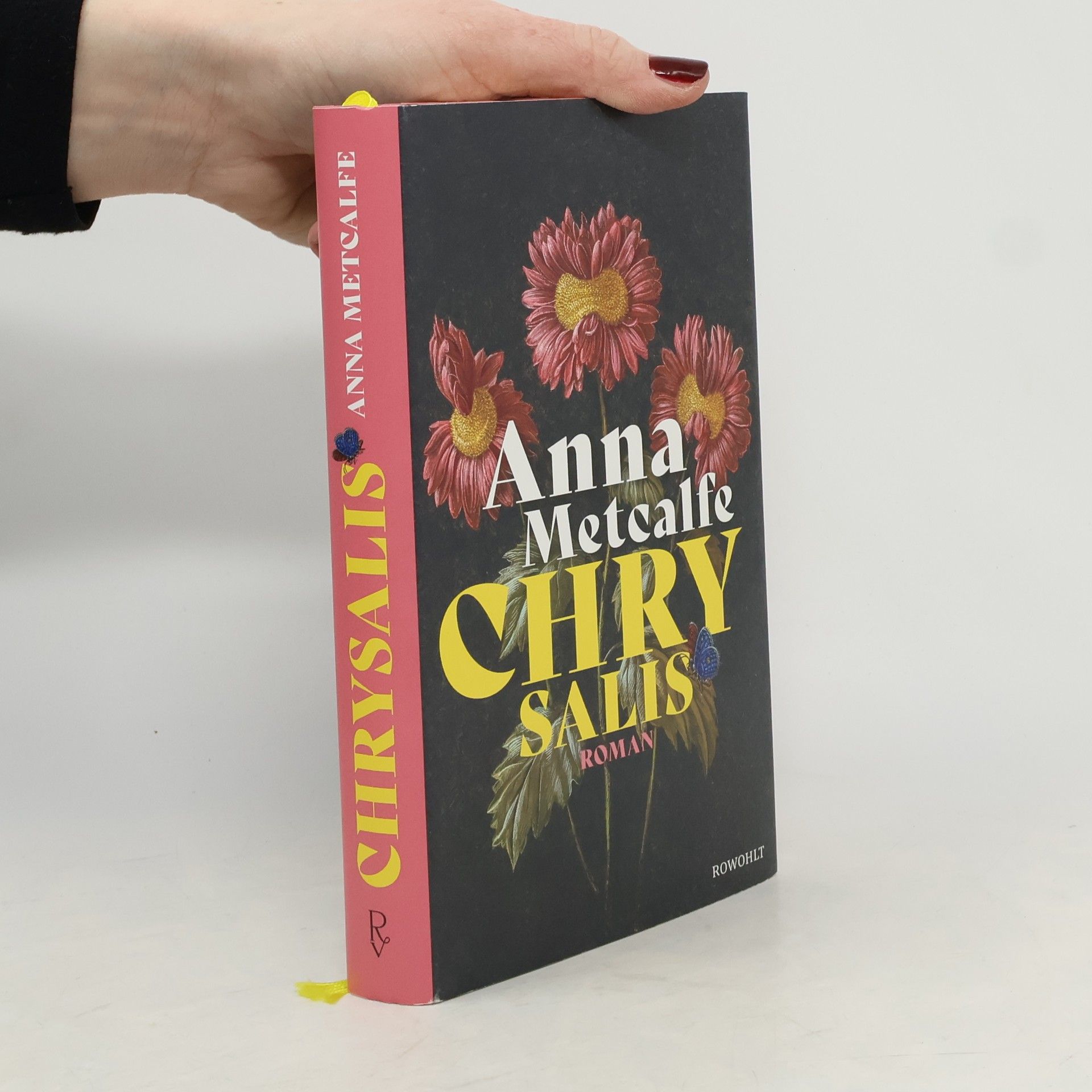 Anna Metcalfe Chrysalis