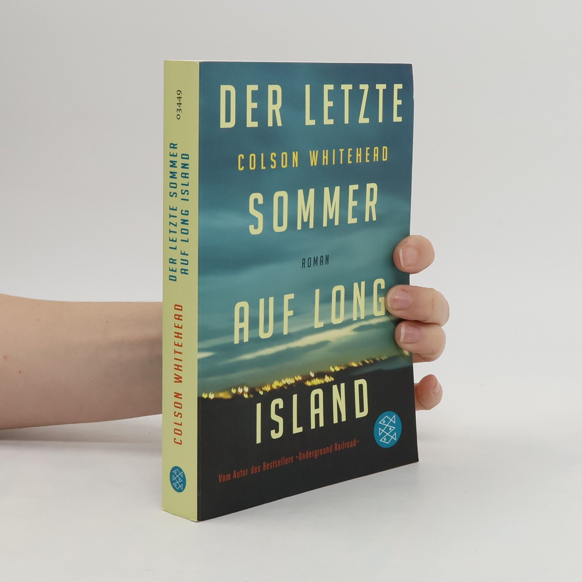 Colson Whitehead Der letzte Sommer auf Long Island
