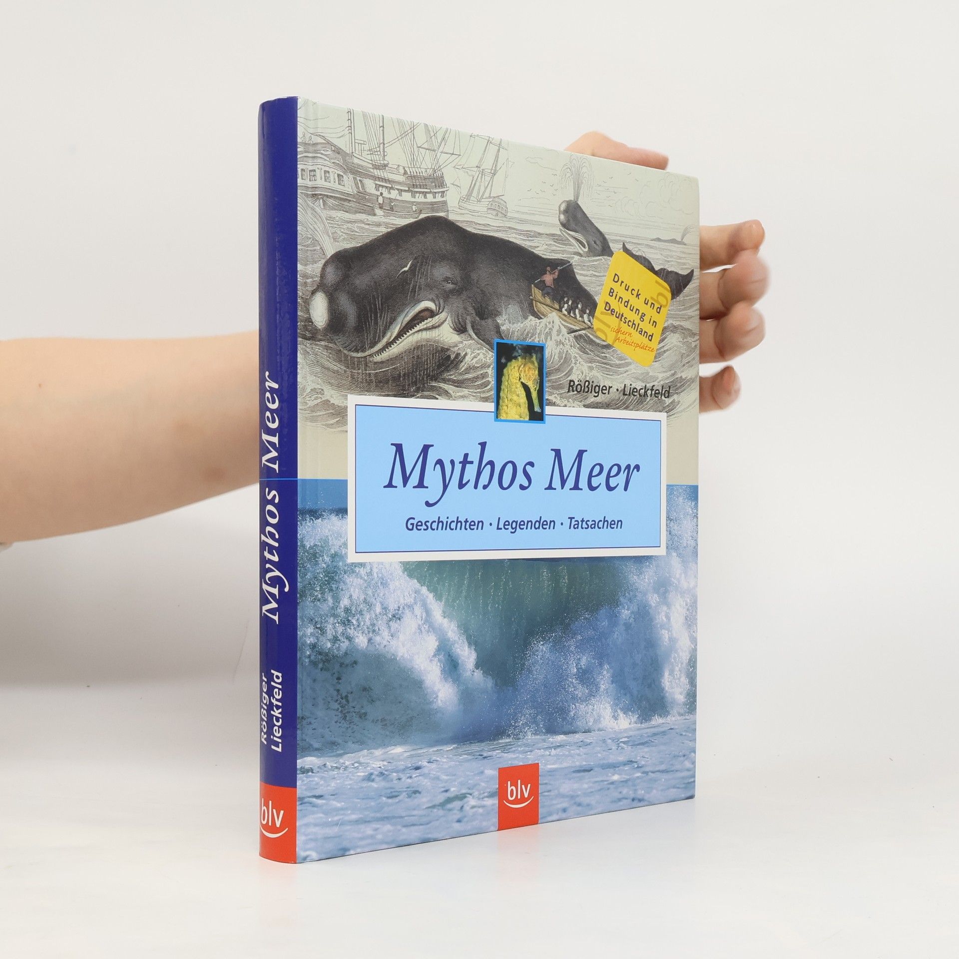 Monika Rößiger Mythos Meer