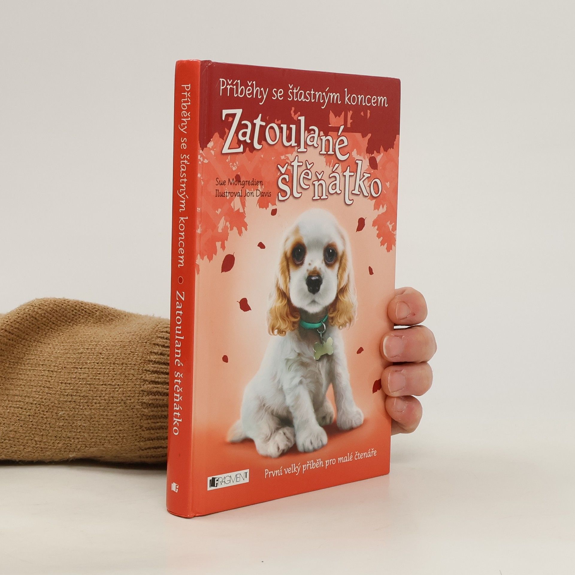 Jon Davis Zatoulané štěňátko