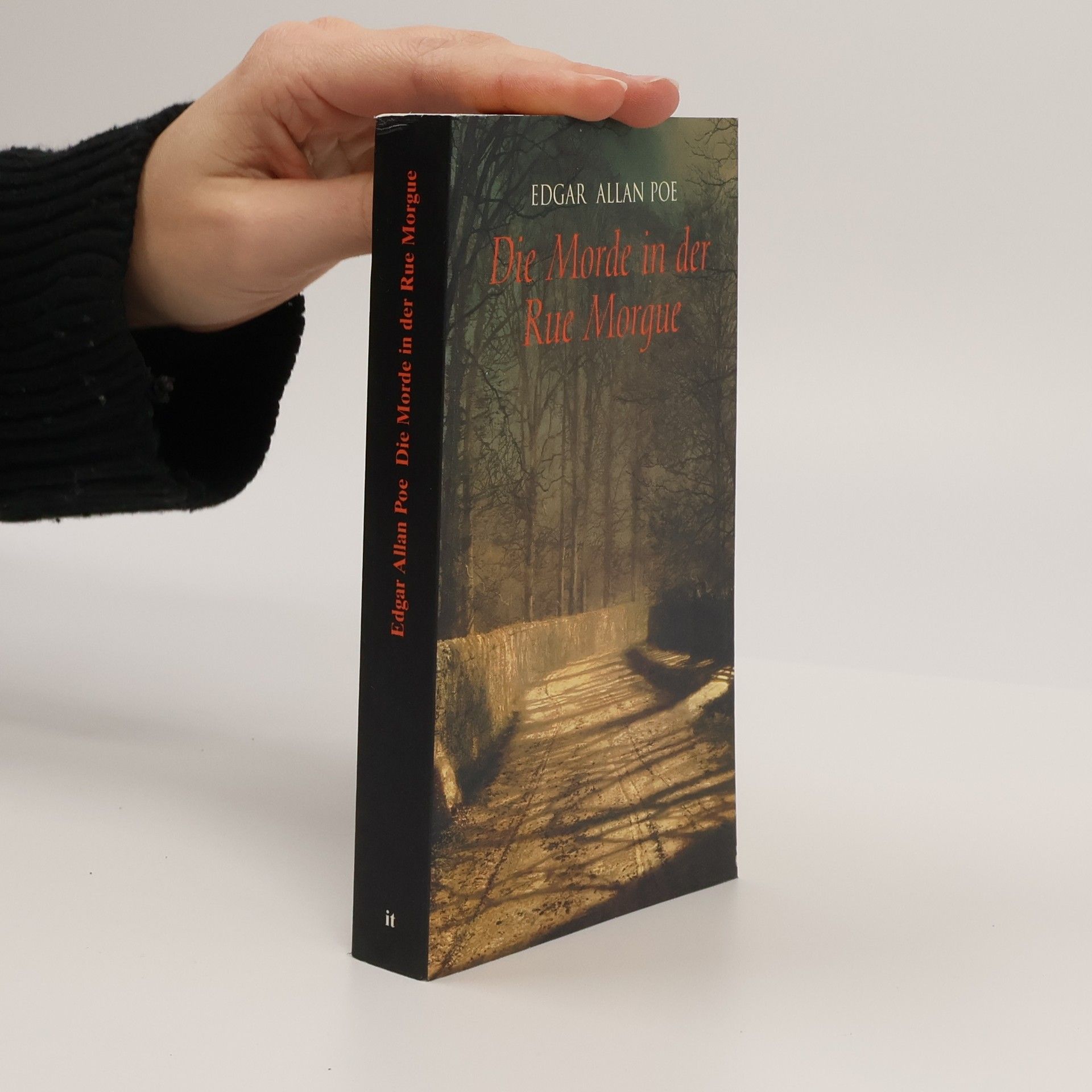 Edgar Allan Poe Die Morde in der Rue Morgue