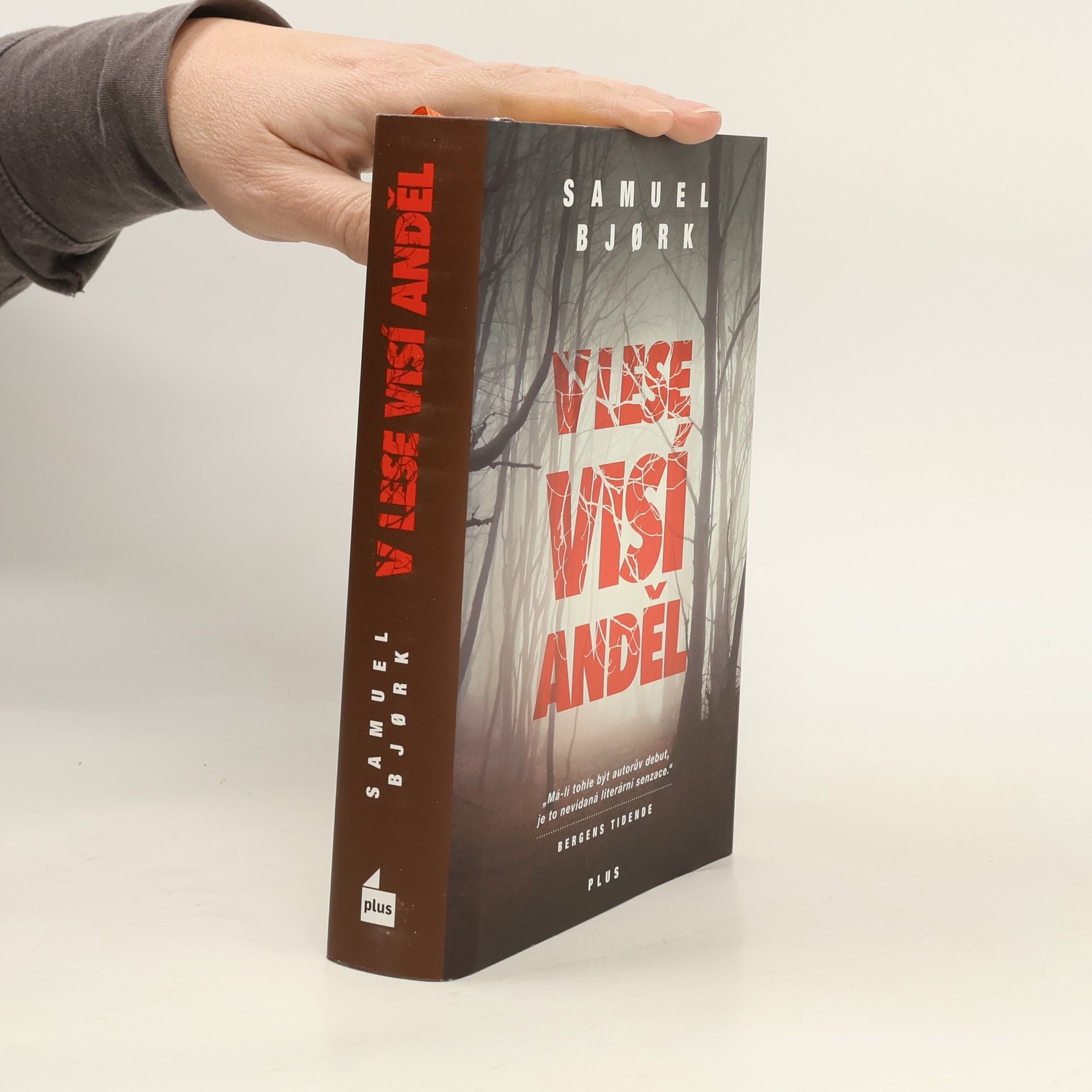 Samuel Bjork V lese visí anděl