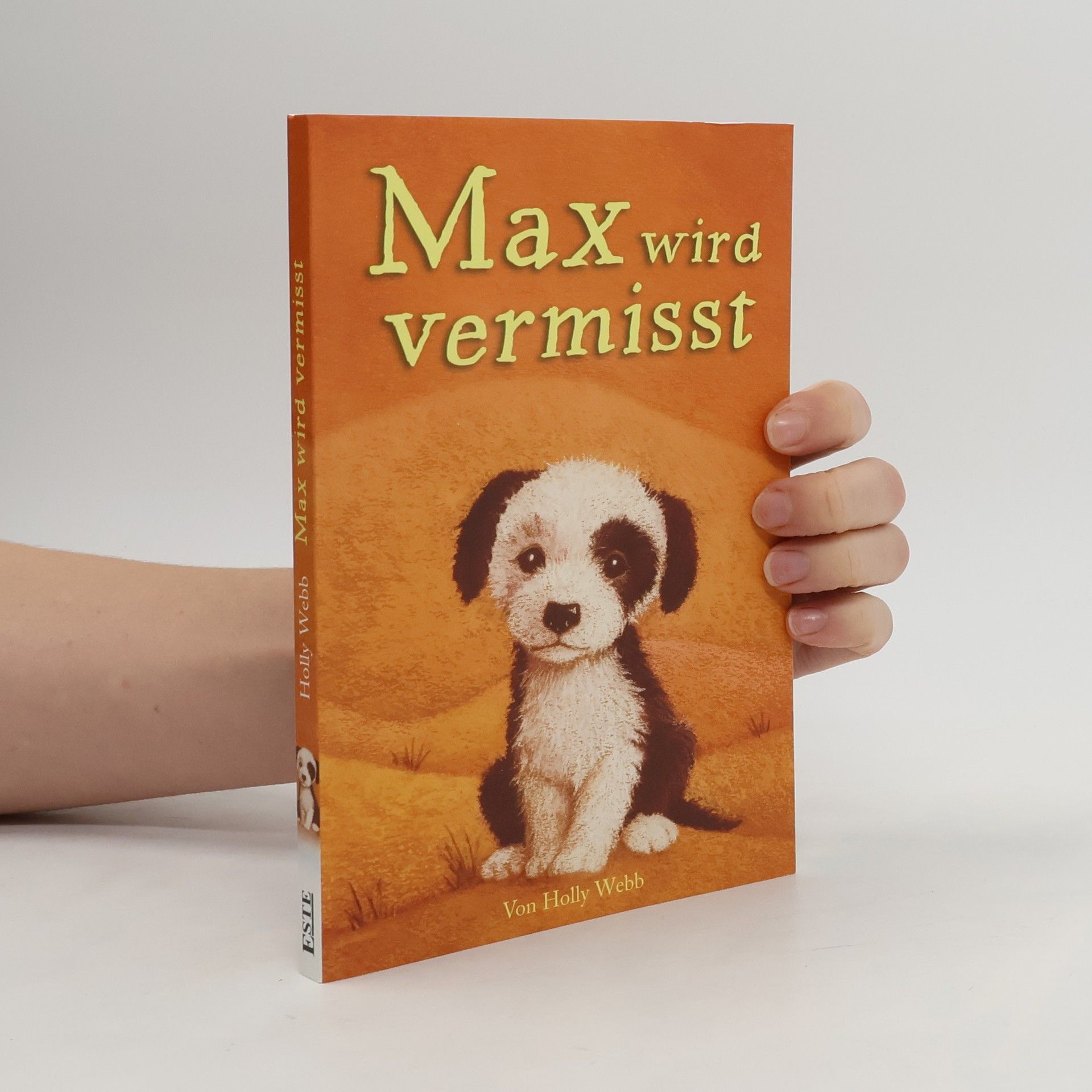 Holly Webb Max wird vermisst