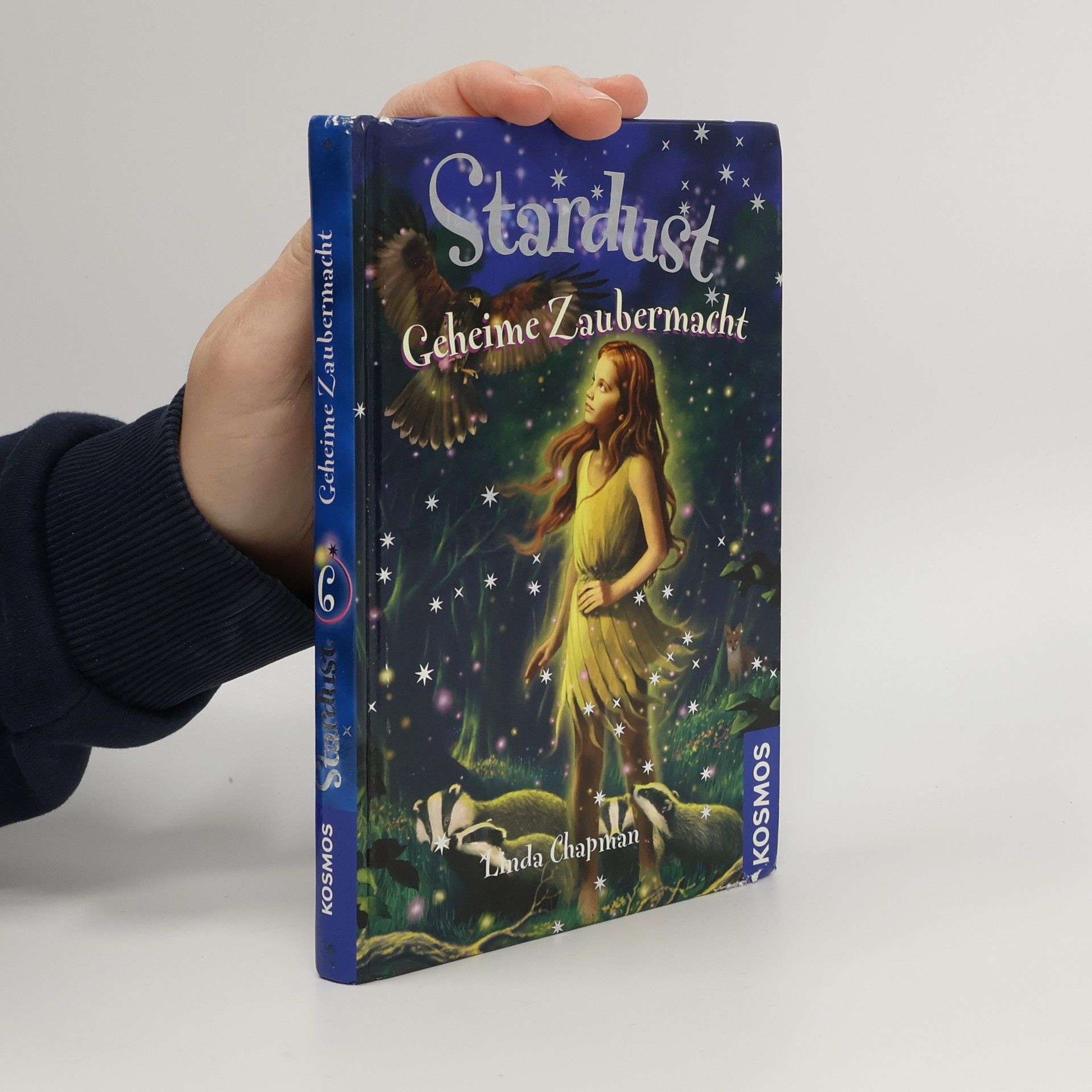 Linda Chapman Stardust