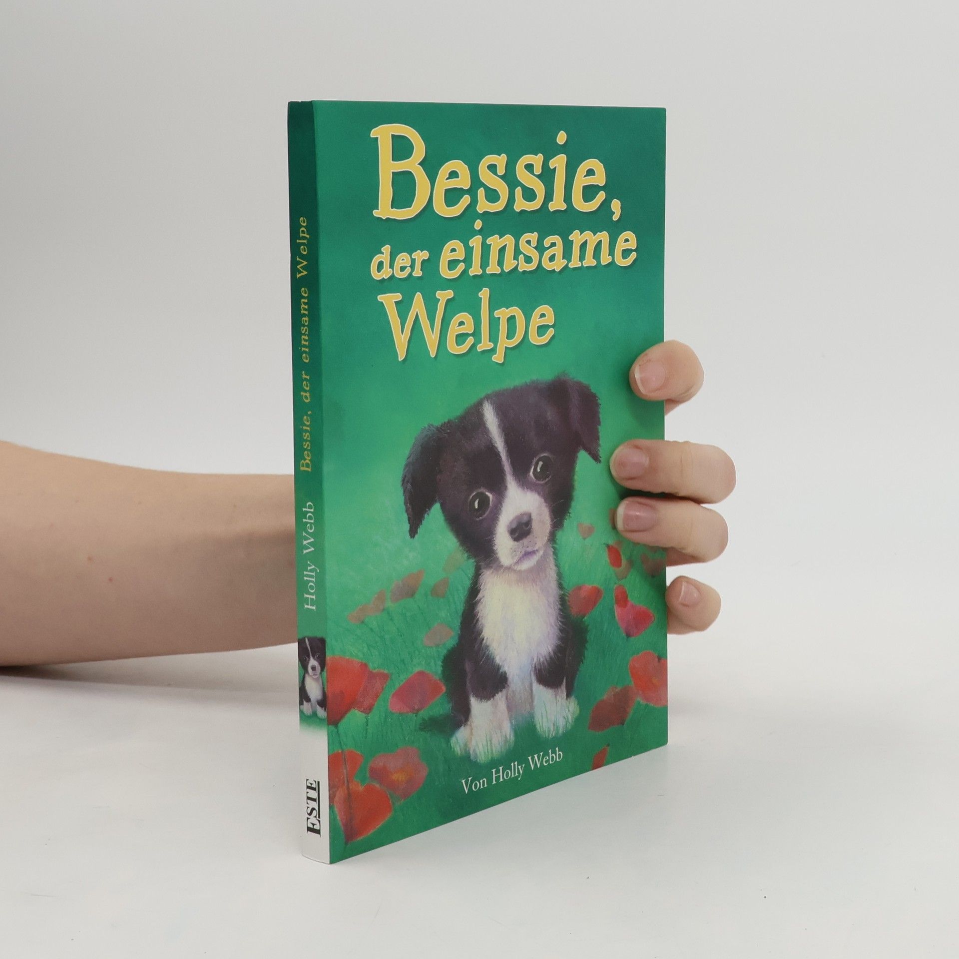 Holly Webb Bessie, der einsame Welpe