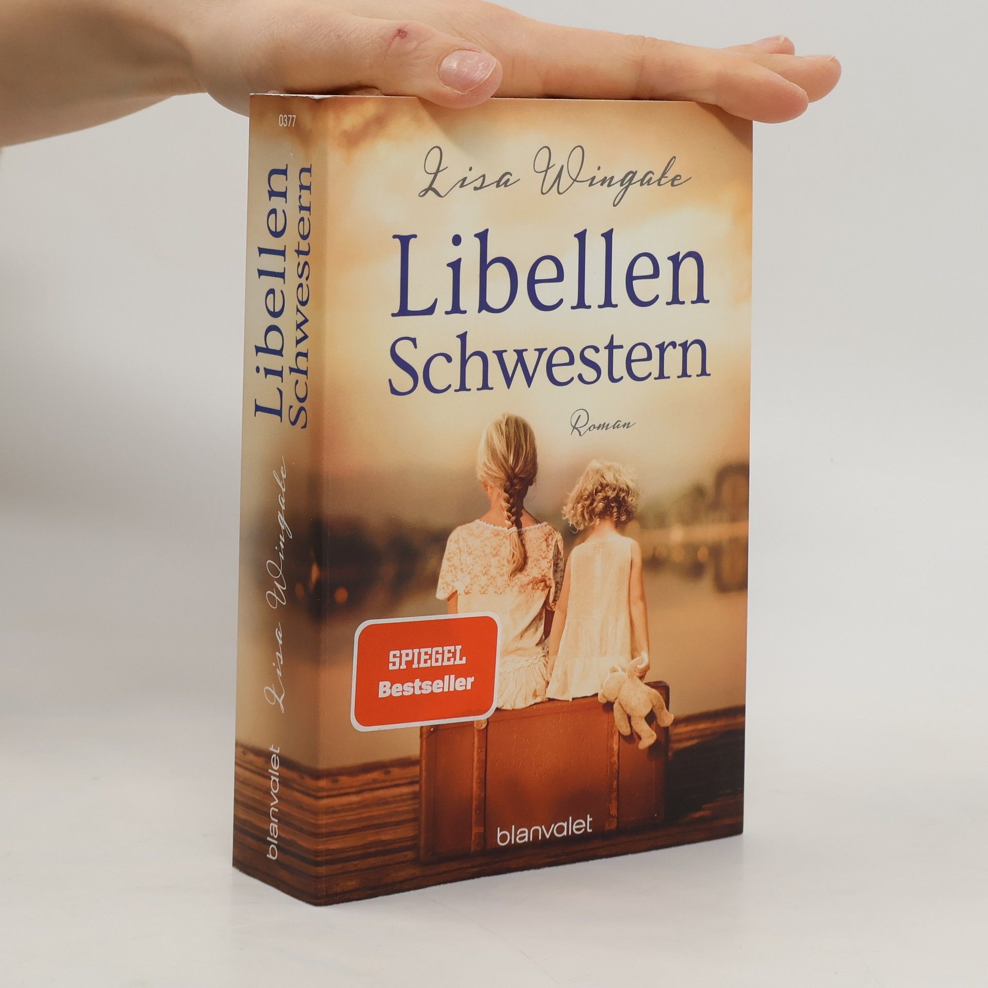 Lisa Wingate Libellenschwestern