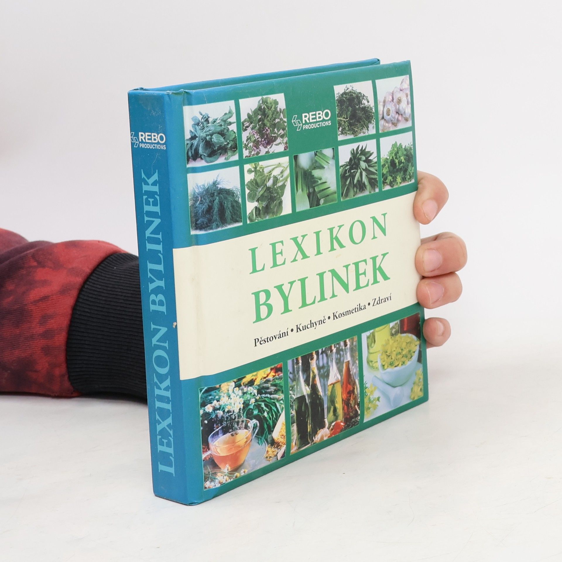 Andrea Rausch Lexikon bylinek