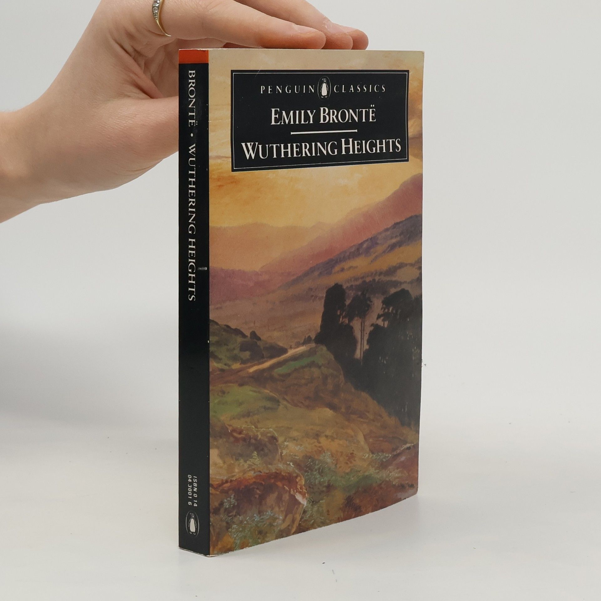 Emily Brontë Wuthering Heights