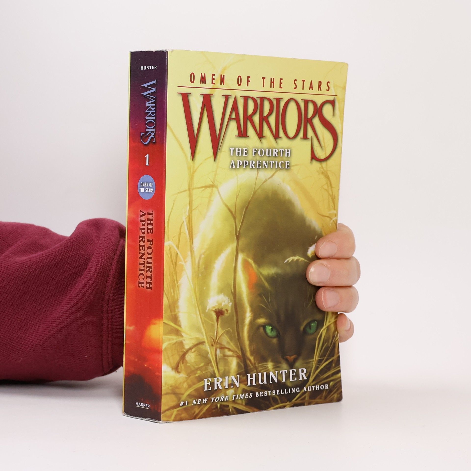 Erin Hunter Warriors. Omen of the Stars 1: The Fourth Apprentice