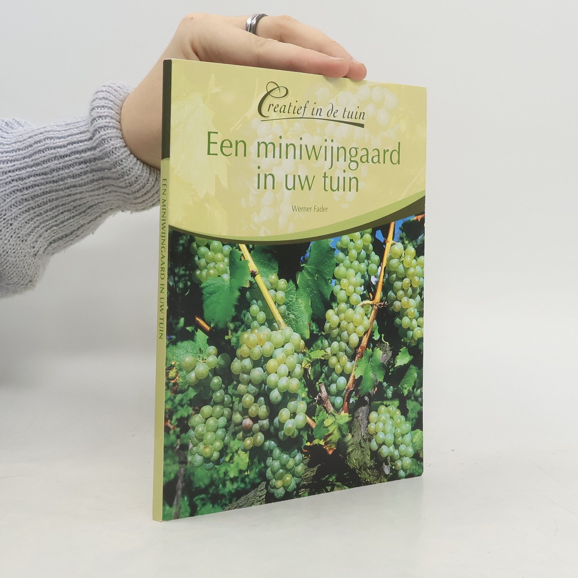 Een miniwijngaard in uw tuin