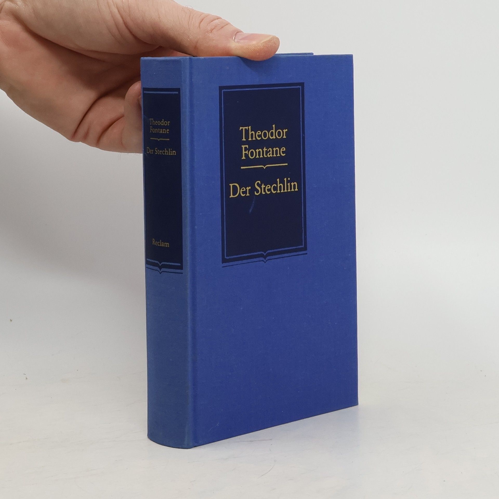 Theodor Fontane Der Stechlin