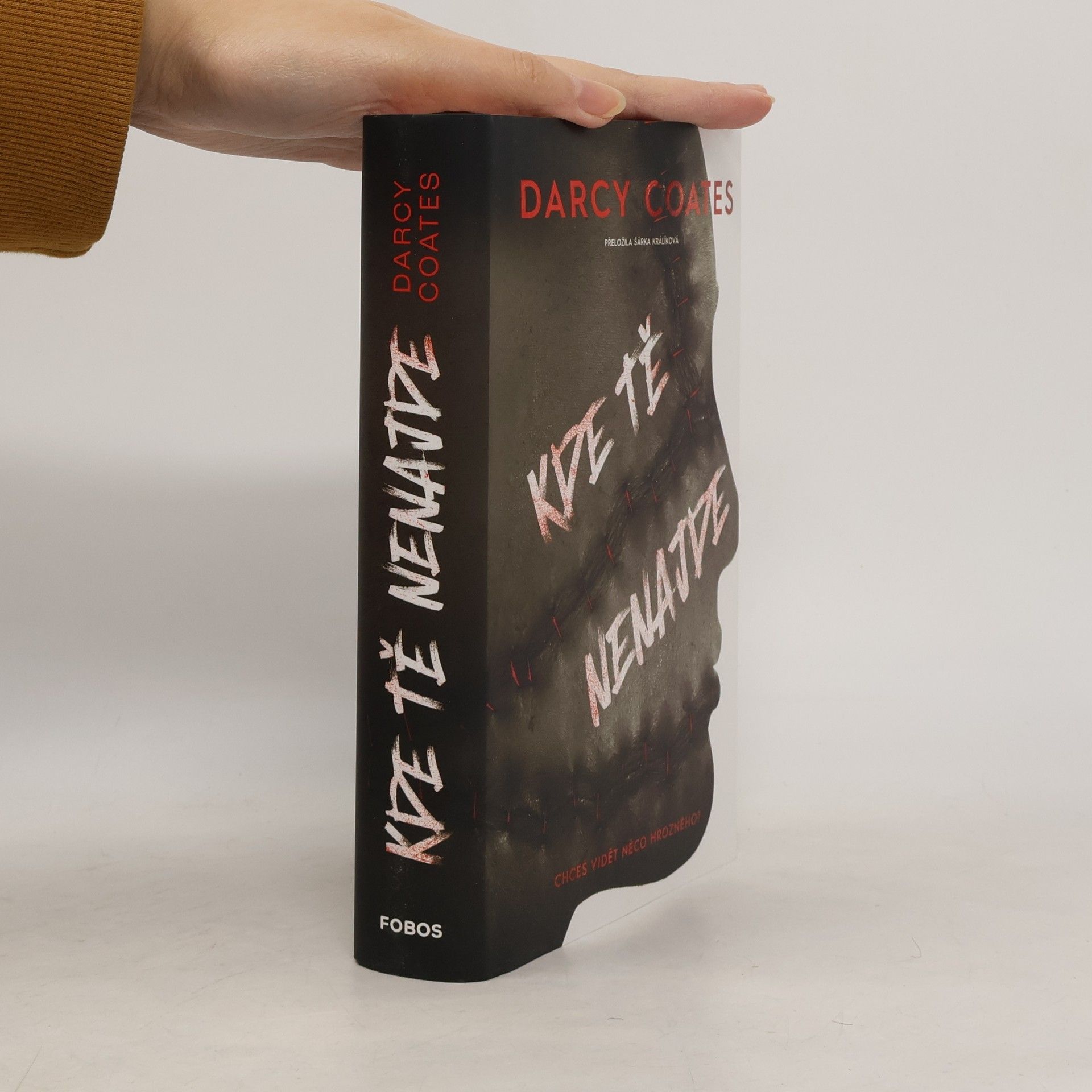 Darcy Coates Kde tě nenajde