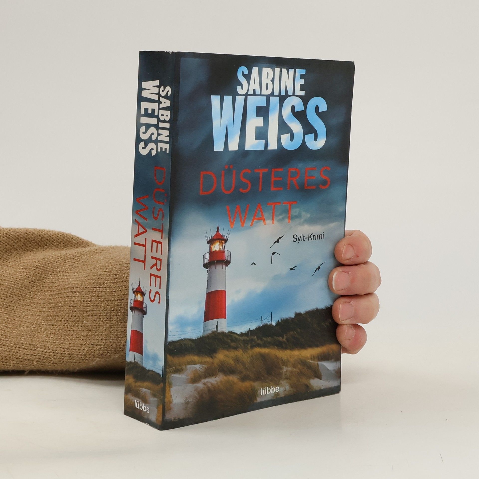 Sabine Weiß Düsteres Watt