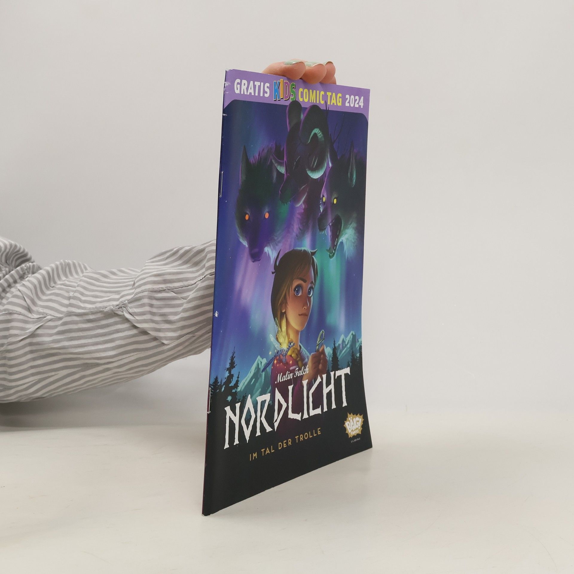 Malin Falch Nordlicht 01