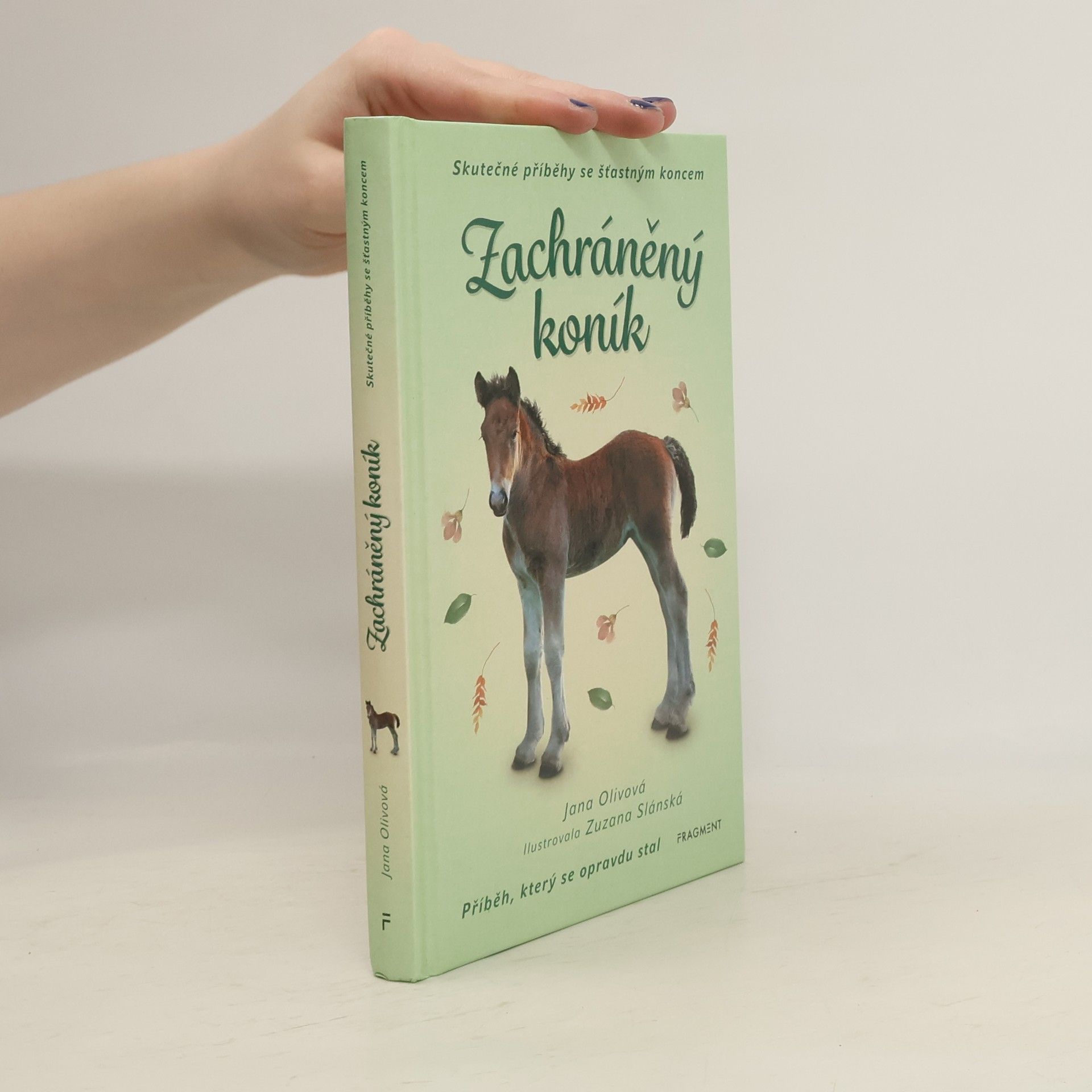Zachráněný koník