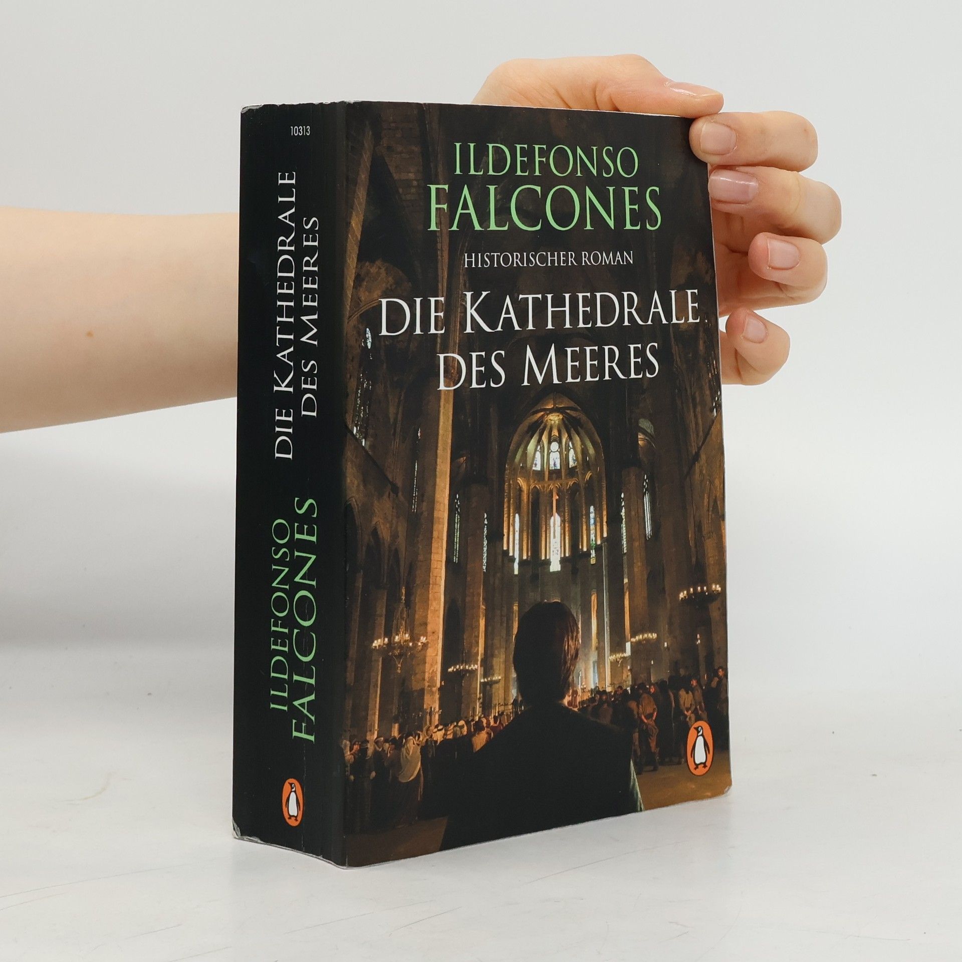 Ildefonso Falcones Die Kathedrale des Meeres
