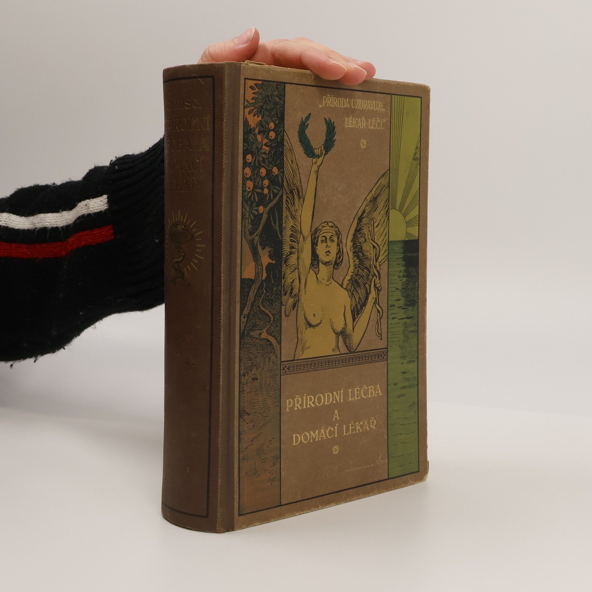Jan Šimsa Přírodní léčba a domácí lékař I.