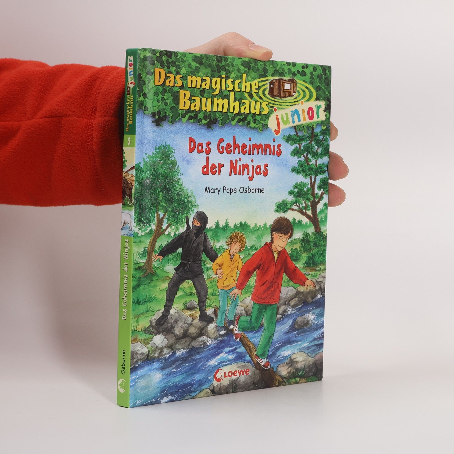 Das Geheimnis der Ninjas