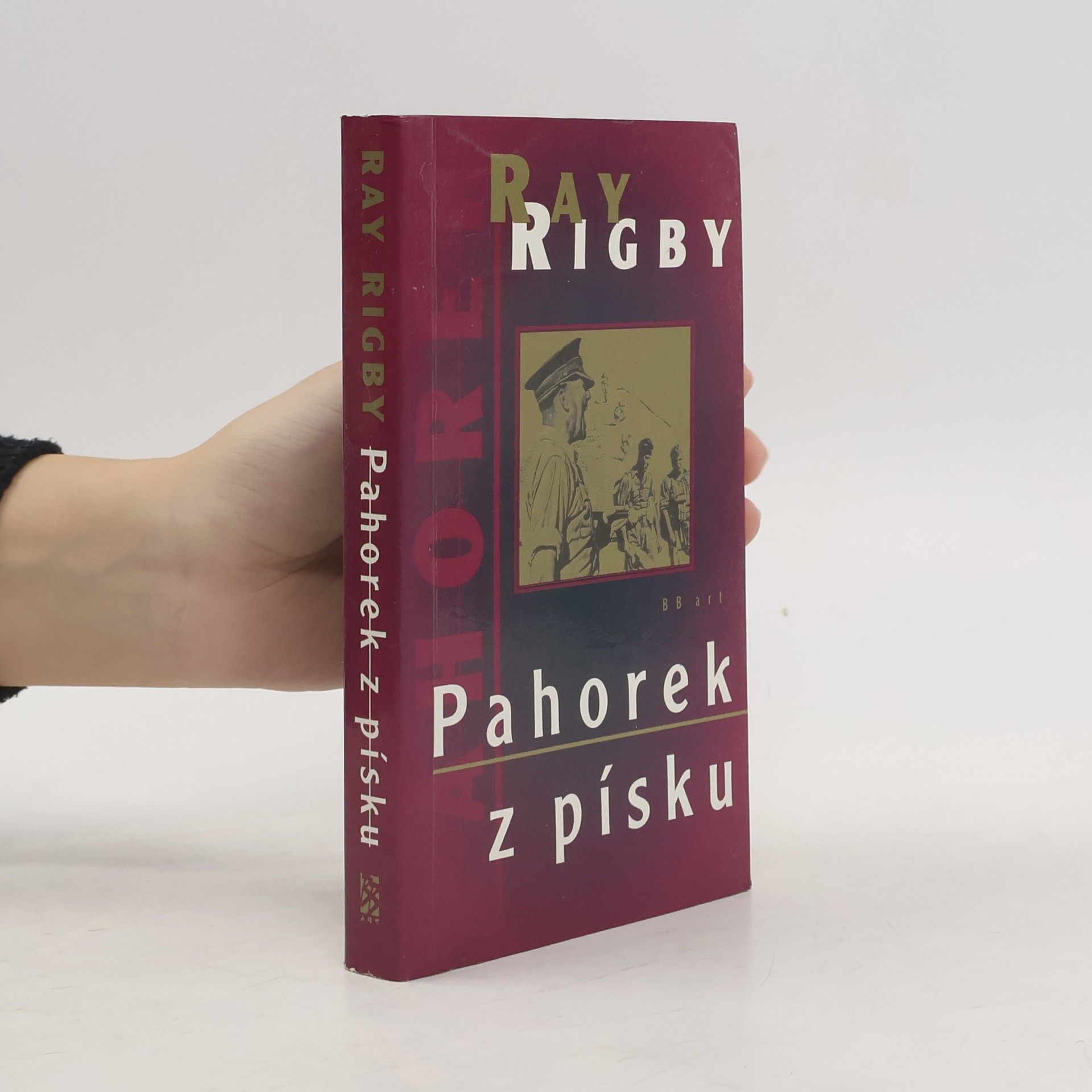 Ray Rigby Pahorek z písku