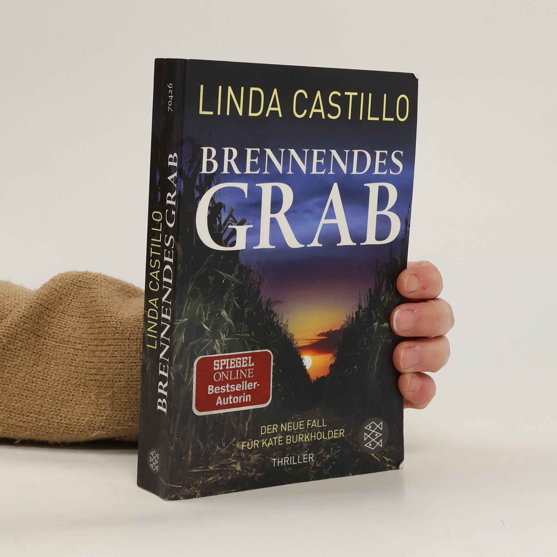 Linda Castillo Brennendes Grab