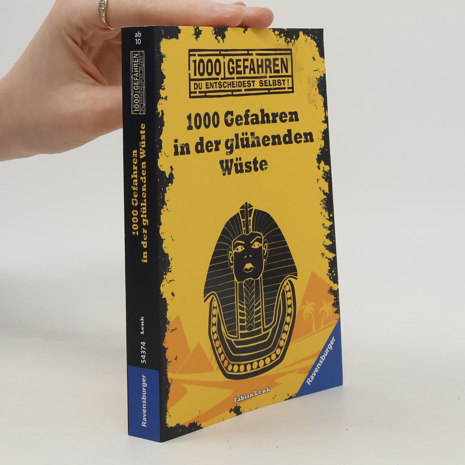 Fabian Lenk 1000 Gefahren in der glühenden Wüste