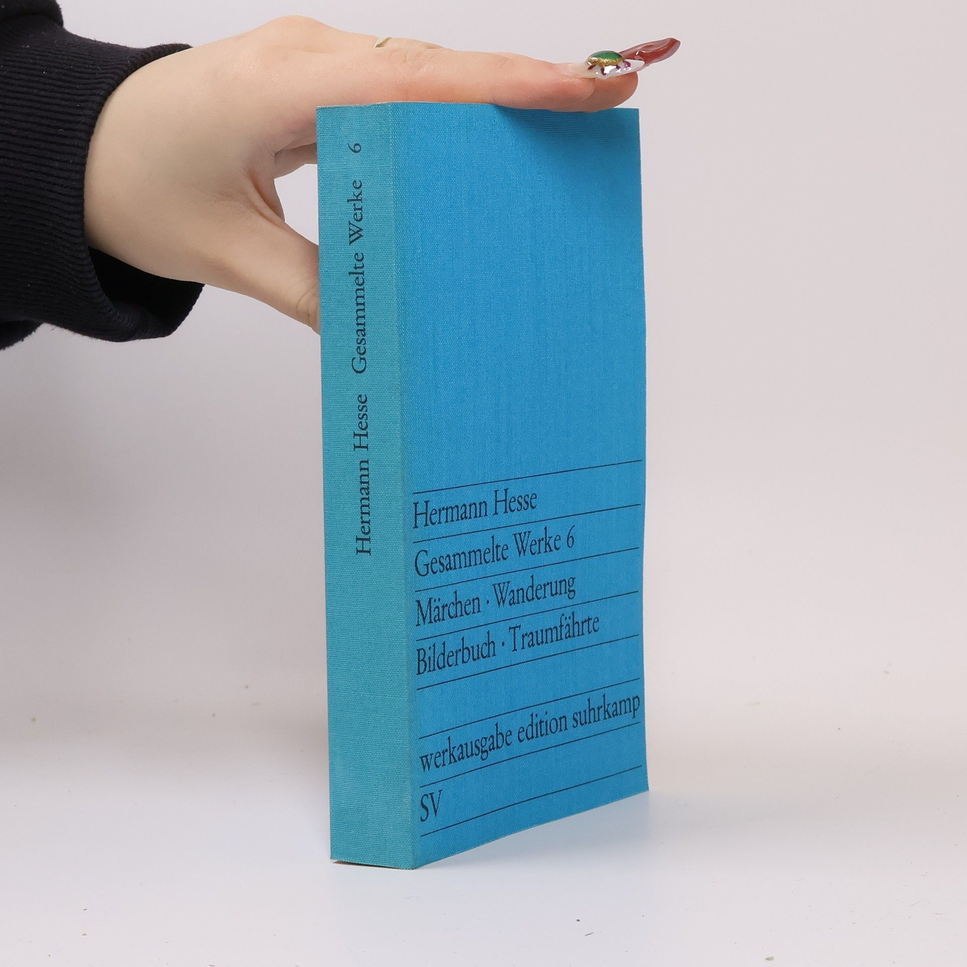 Hermann Hesse Gesammelte Werke 6. Märchen. Wanderung. Bilderbuch. Traumfahrte