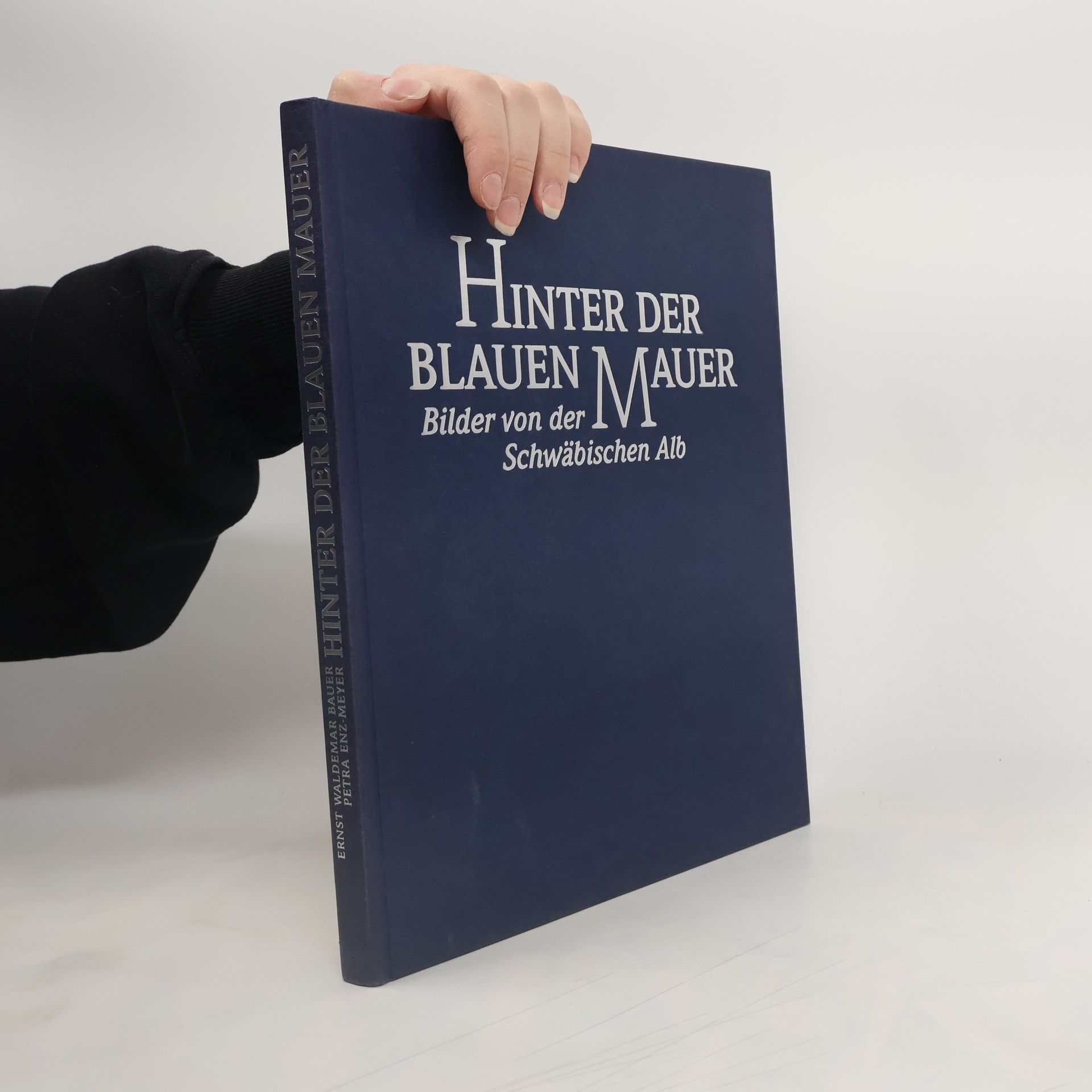 Ernst Waldemar Bauer Hinter der blauen Mauer