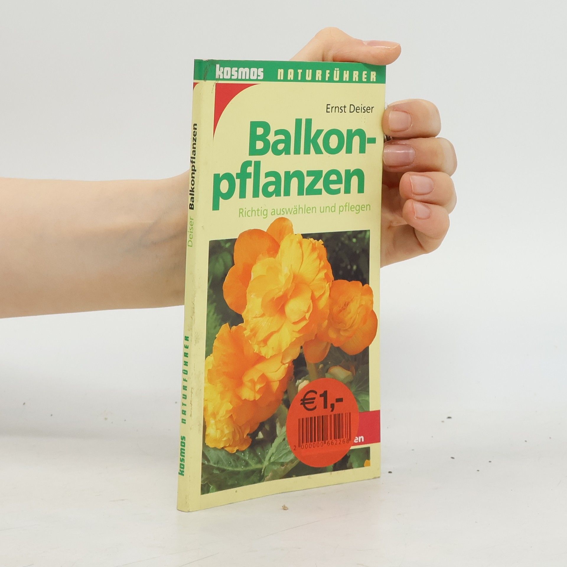 Balkonpflanzen