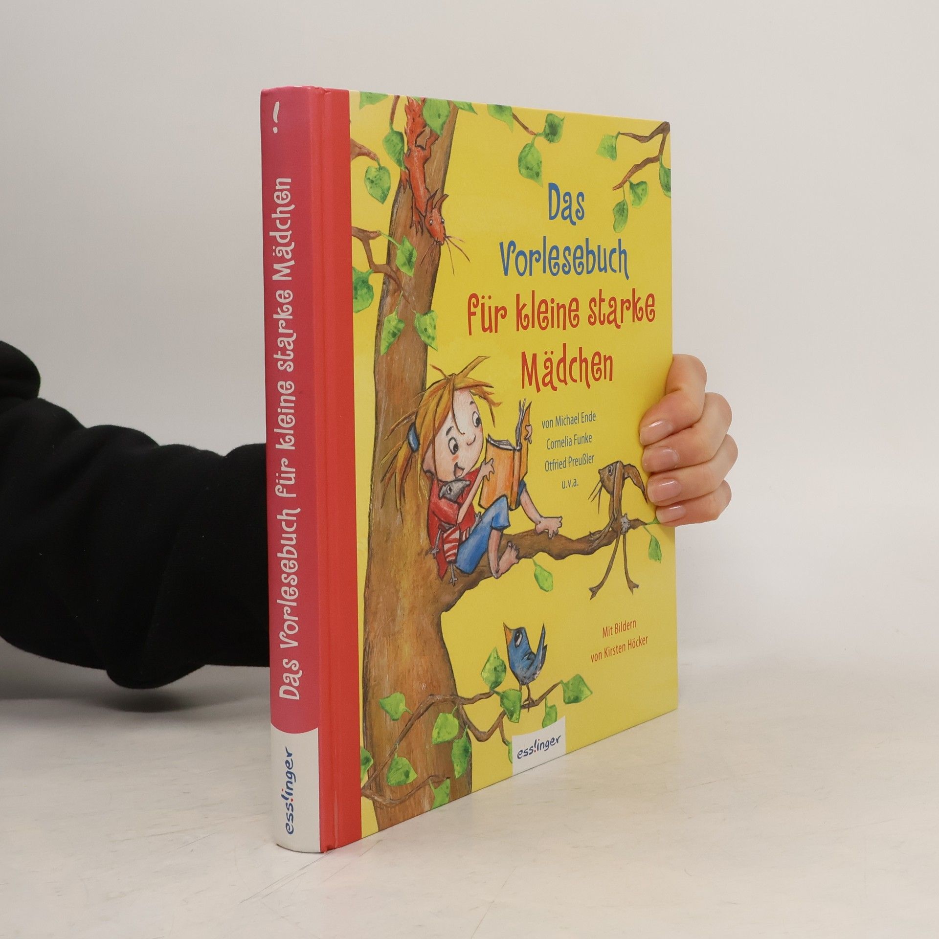 Das Vorlesebuch für kleine starke Mädchen