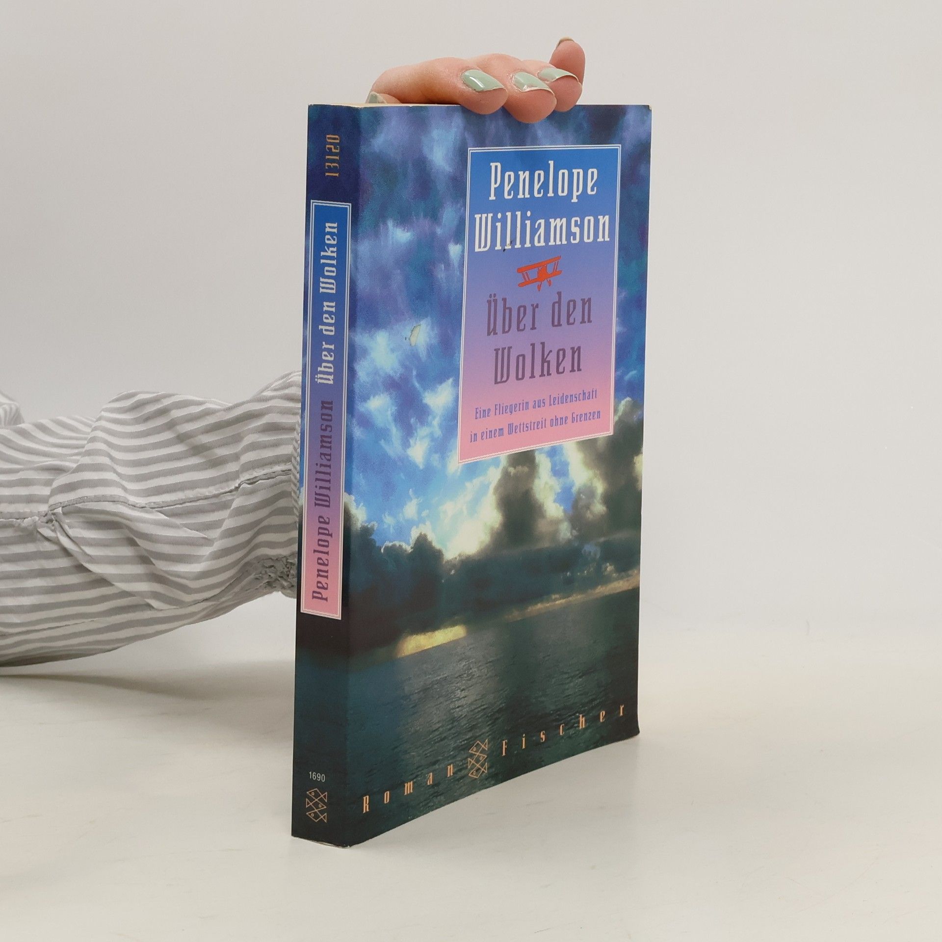 Penelope Williamson Über den Wolken