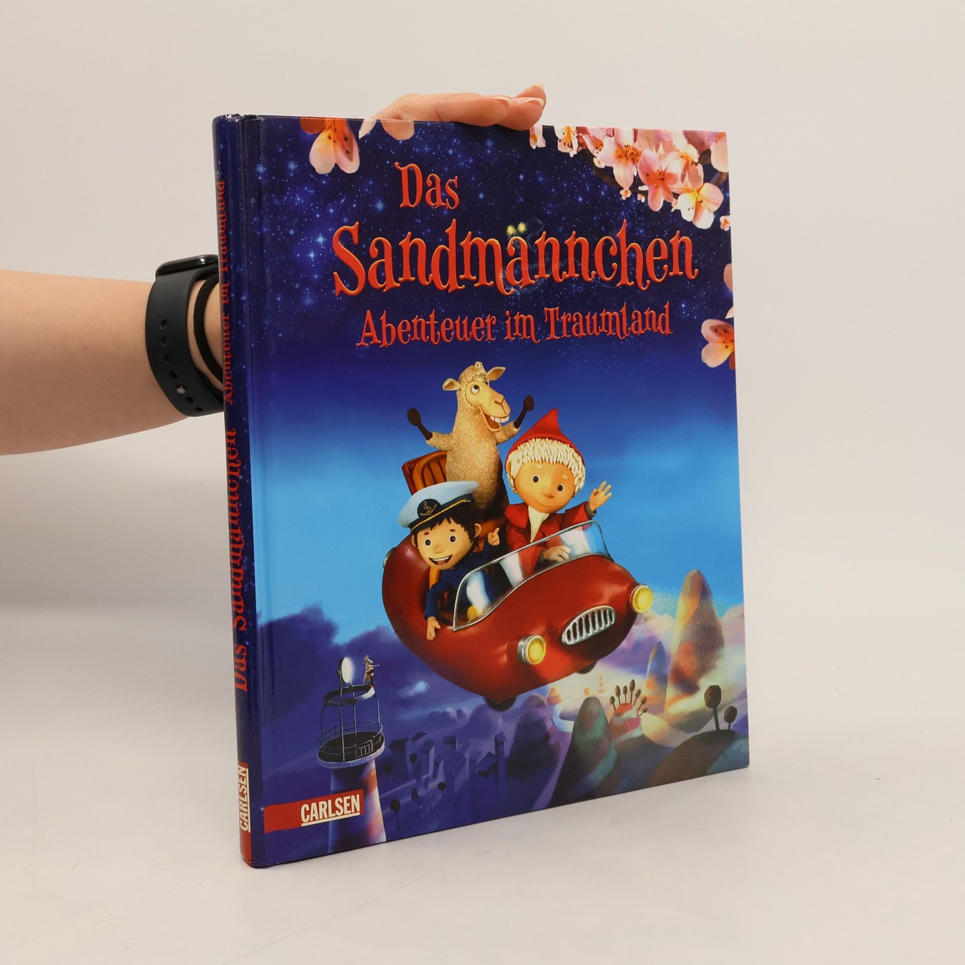 Lucia Fischer Das Sandmännchen - Abenteuer im Traumland