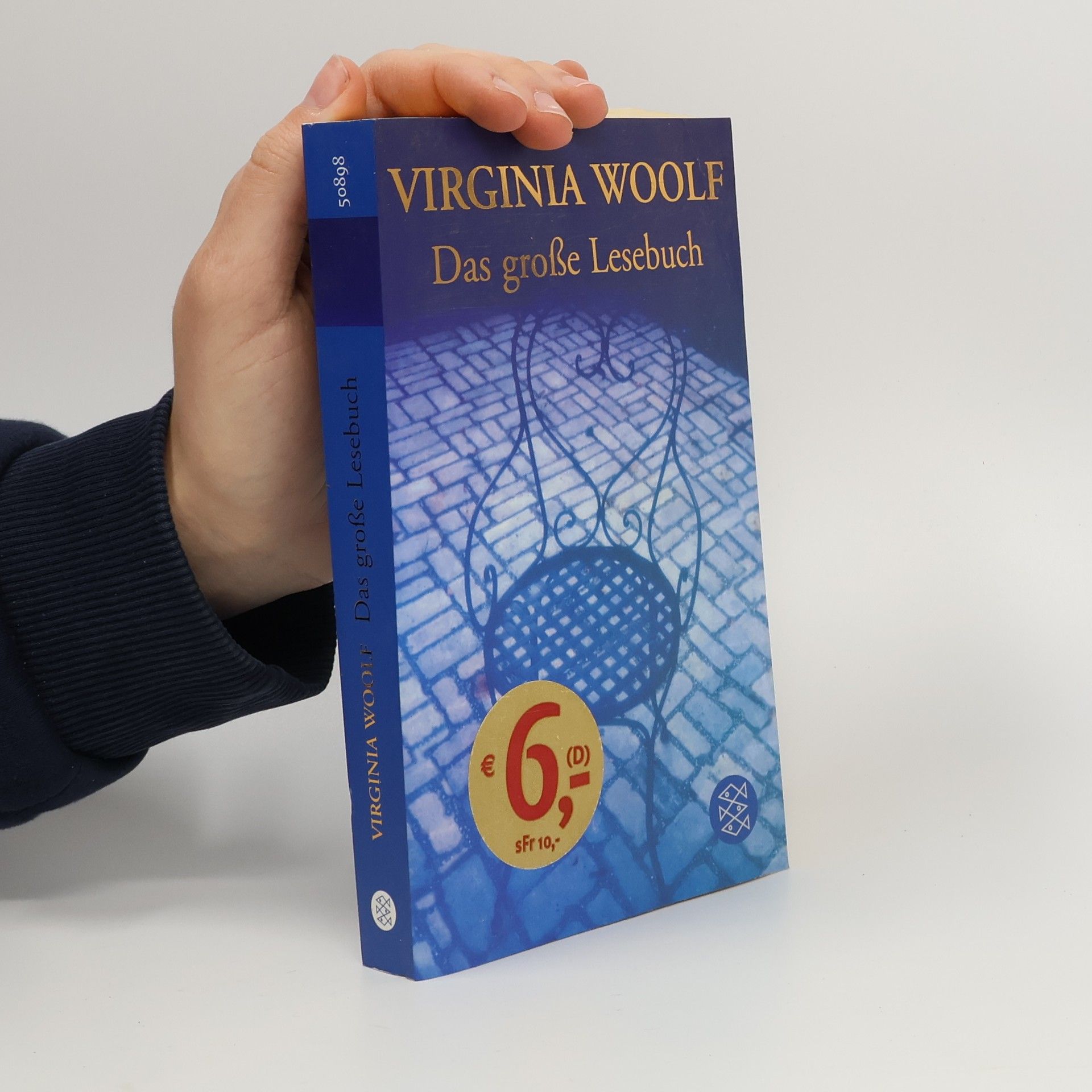 Virginia Woolfová Das große Lesebuch. Originalausgabe. Ausgew. v. Corinna Fiedler