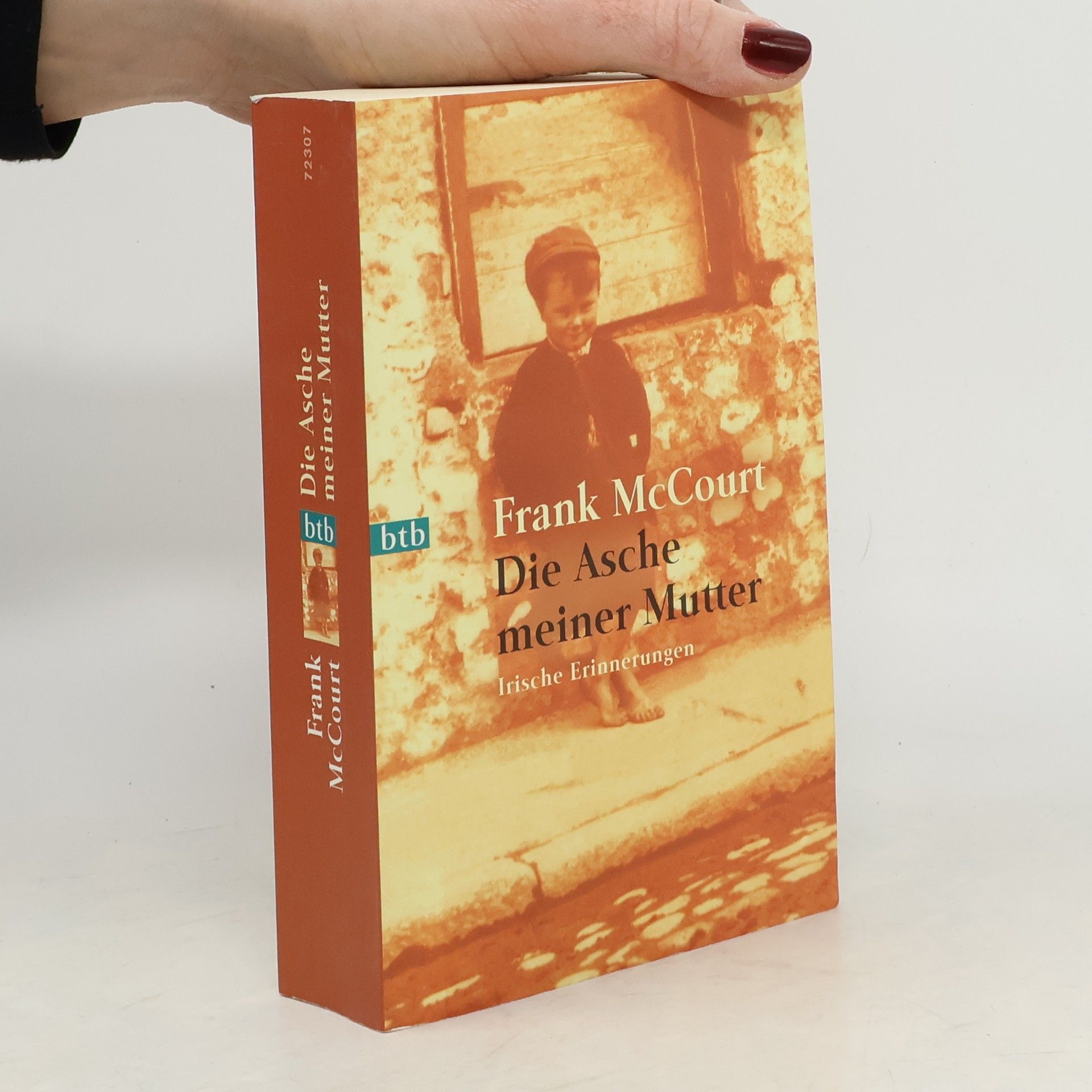 Frank McCourt Die Asche meiner Mutter